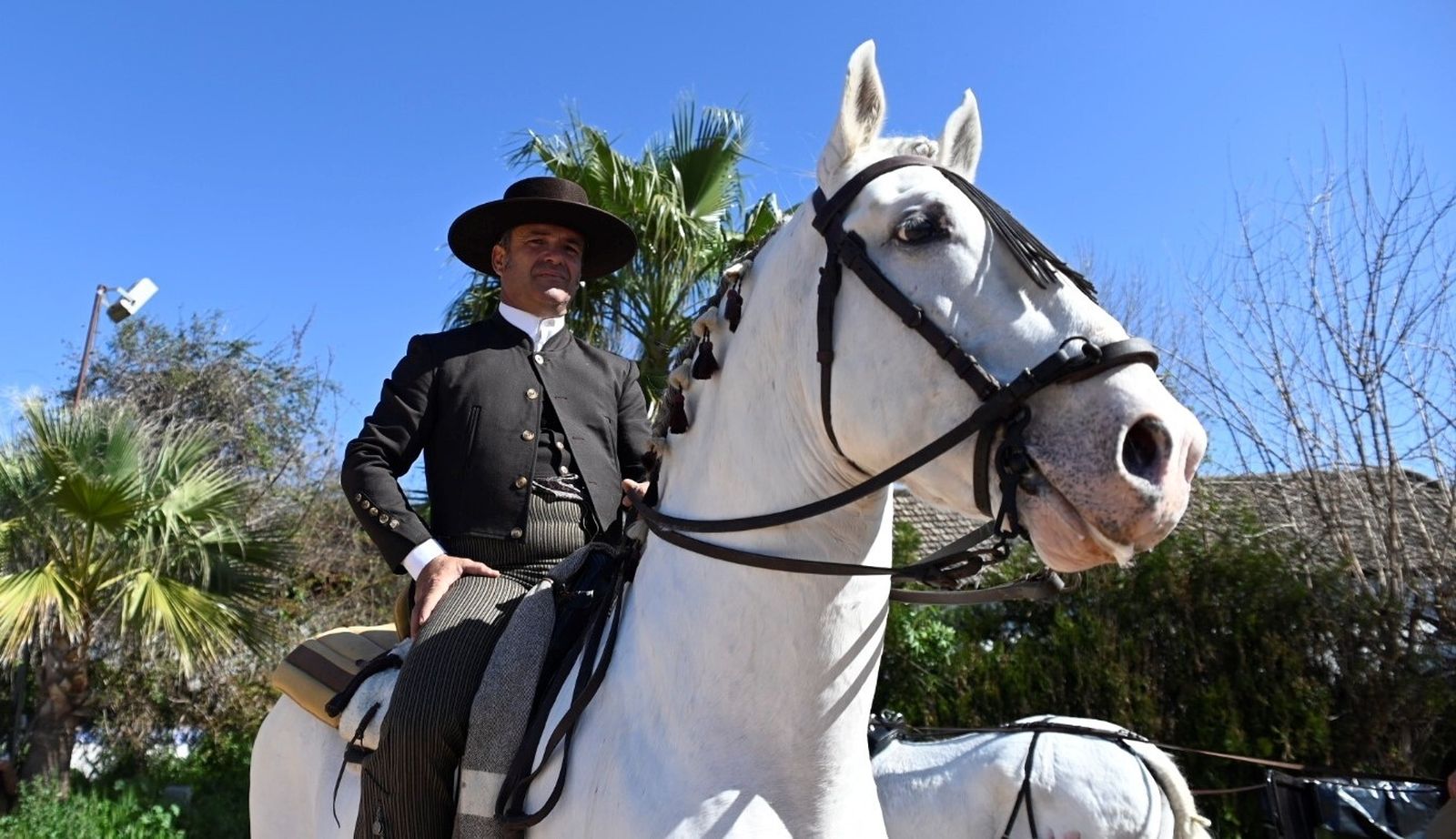 Las mejores fotografías la Marcha Hípica 'Córdoba a Caballo' por el 28F