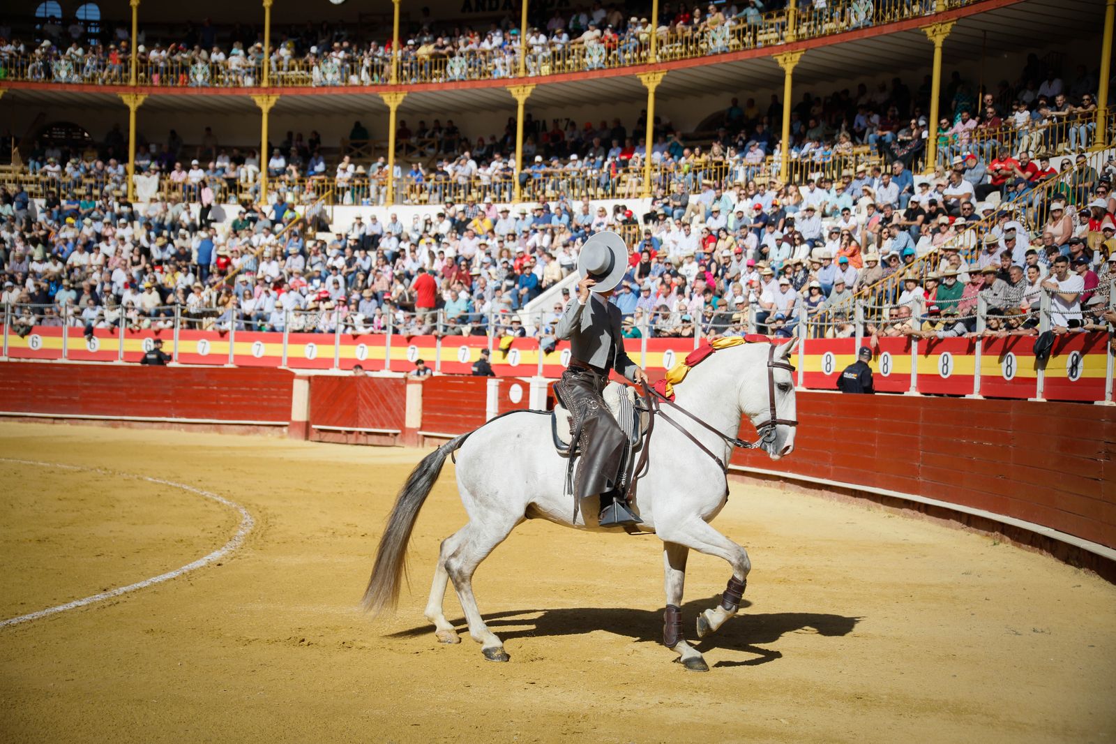 Imágenes del festival mixto lucha contra el cáncer