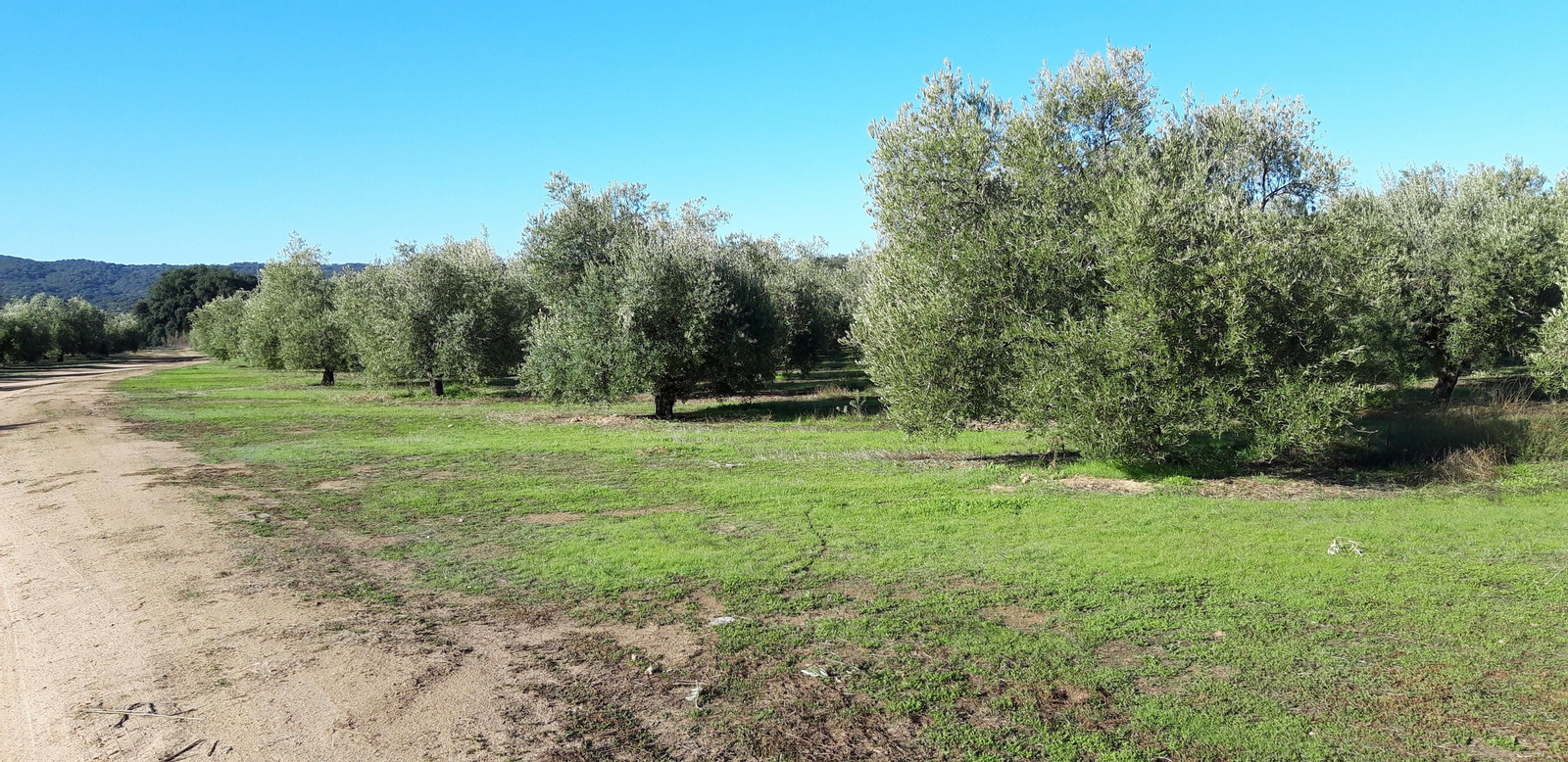 Las fotos de las ruta del Arroyo de las Cañas