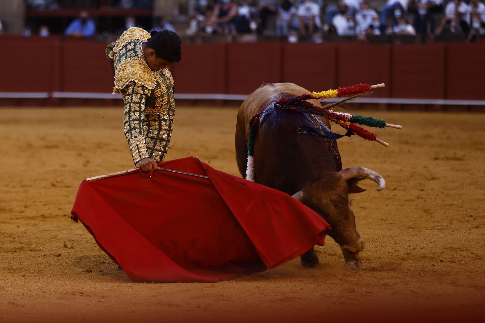 Fotos de la segunda novillada de la feria de San Miguel de Sevilla