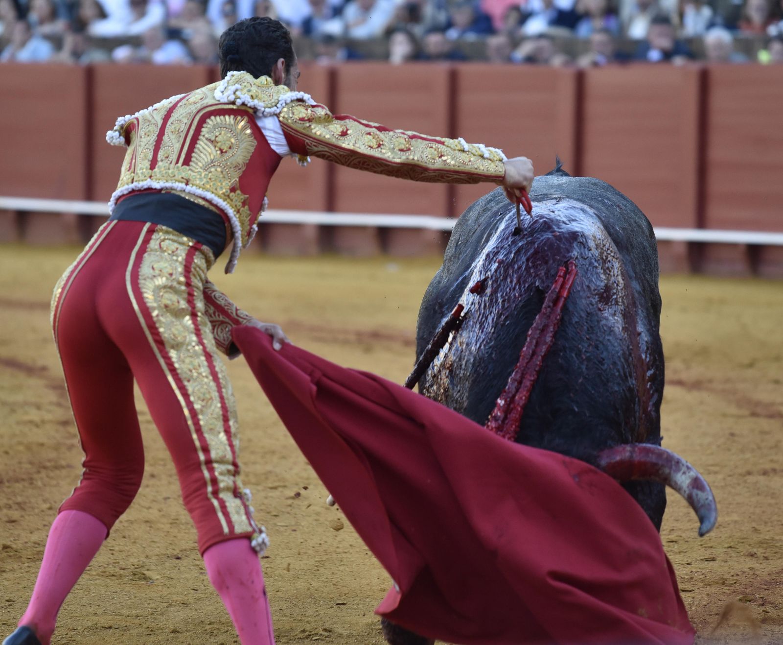 La 14ª de abono en la Real Maestranza de Sevilla, en imágenes