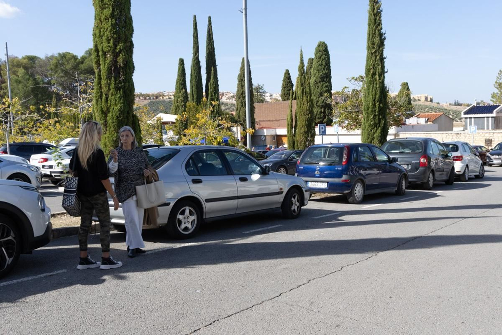 Día de Los Santos en el cementerio de San Fernando y San Eufrasio de Jaén, en imágenes