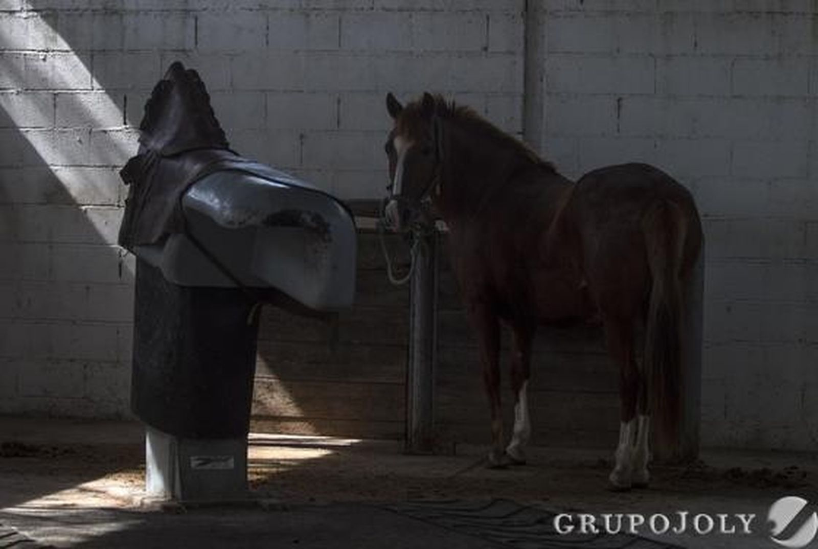 Foto: Antonio Pizarro