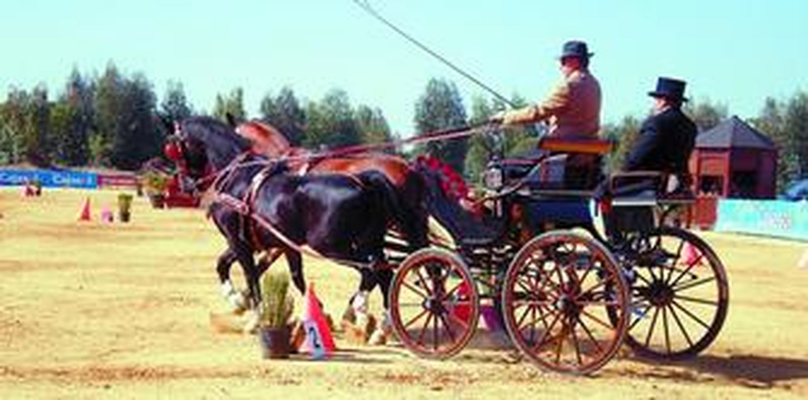 Cinco días a caballo del enganche