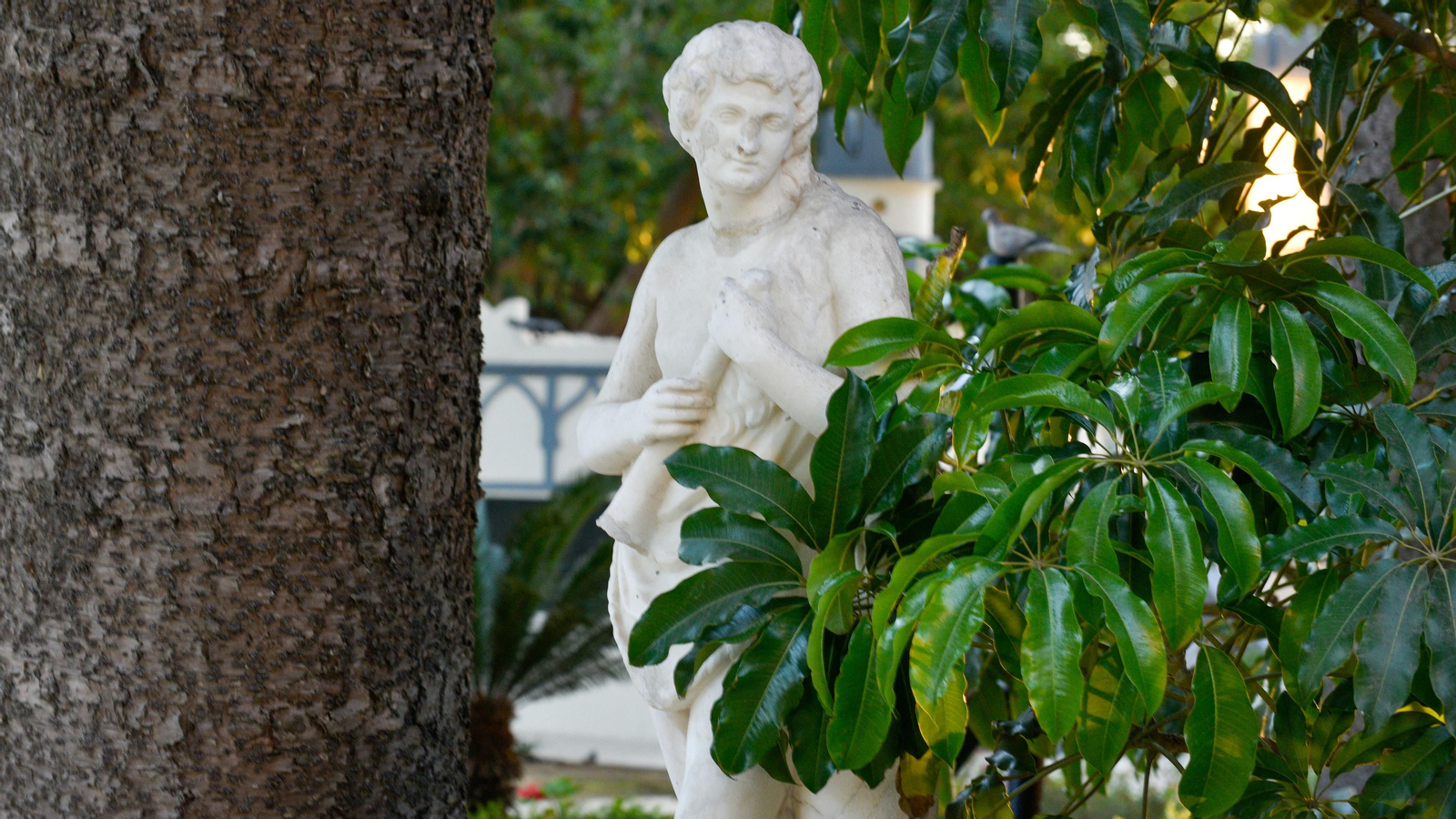 Las fotos de los Jardines Socco en La Línea