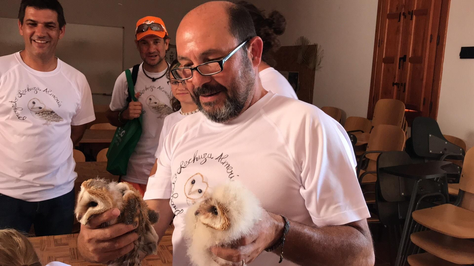 Fotogalería de las nuevas crías de lechuza en Rodalquilar