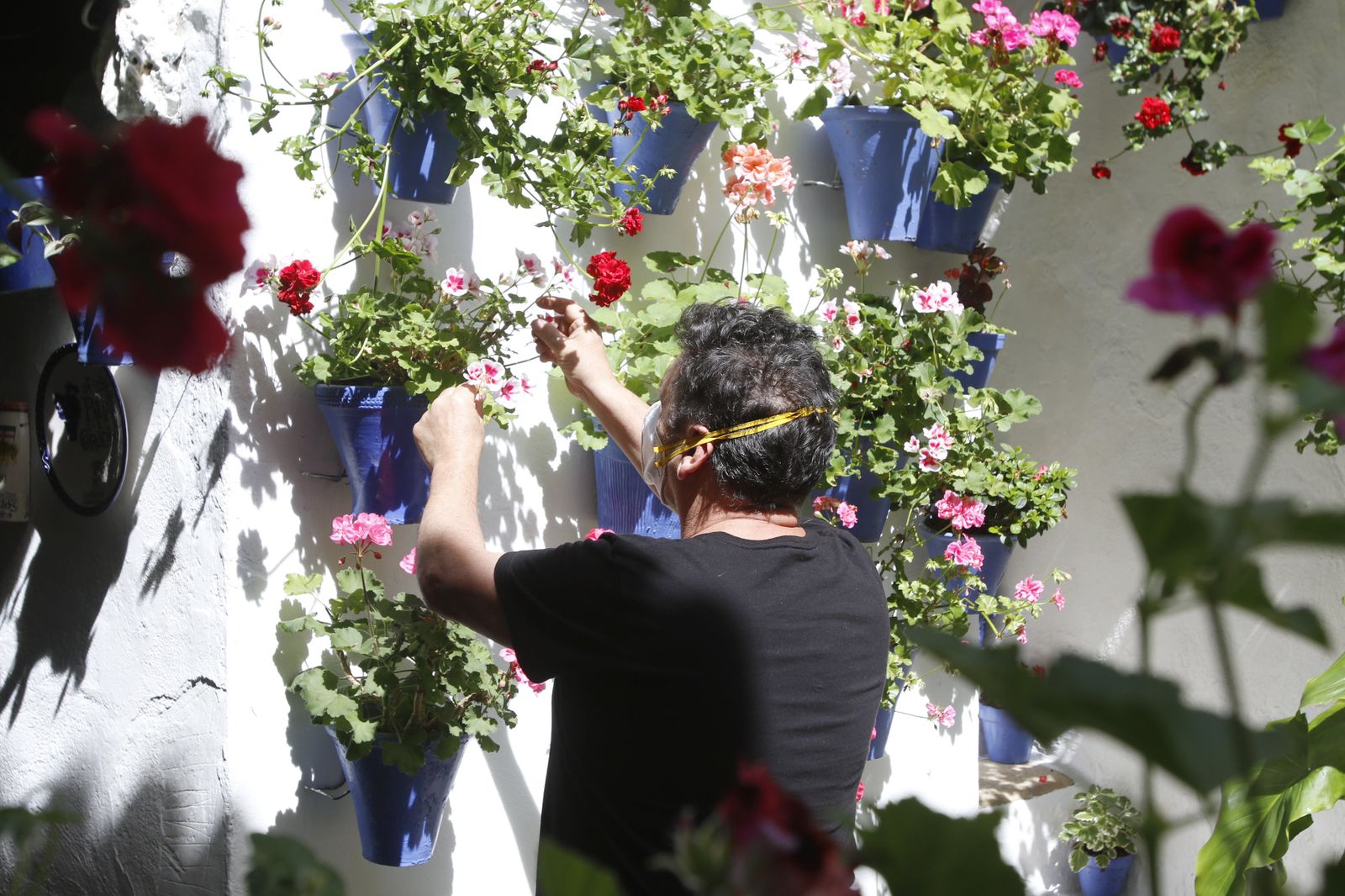 Las fotos de los Patios de Córdoba en tiempos de crisis: Postrera, 28