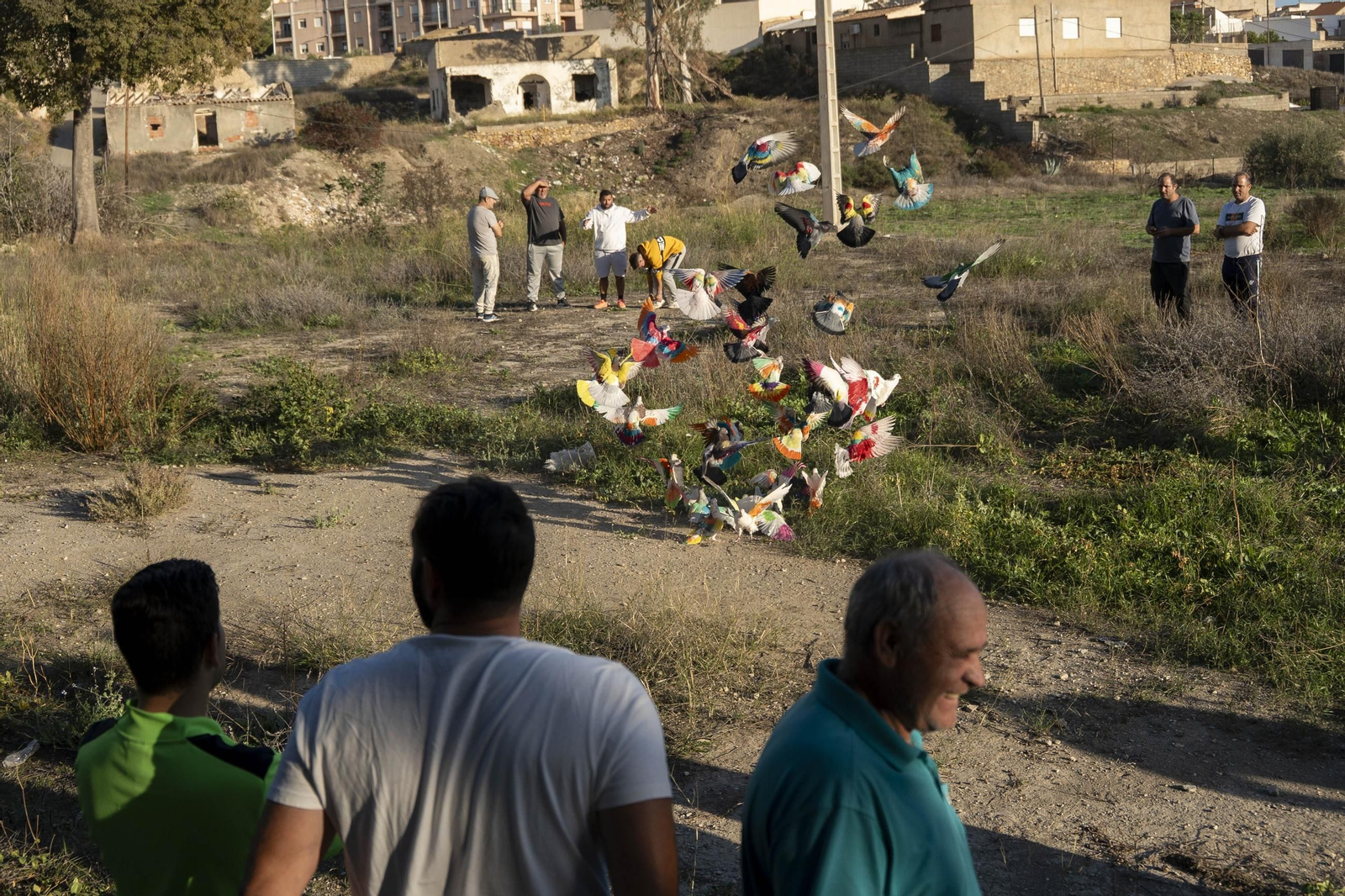 Las mejores imágenes de la suelta de palomos en la Feria de Albox