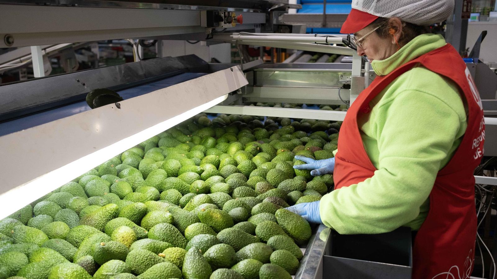 Control para eliminar piezas dañadas tras la recepción.