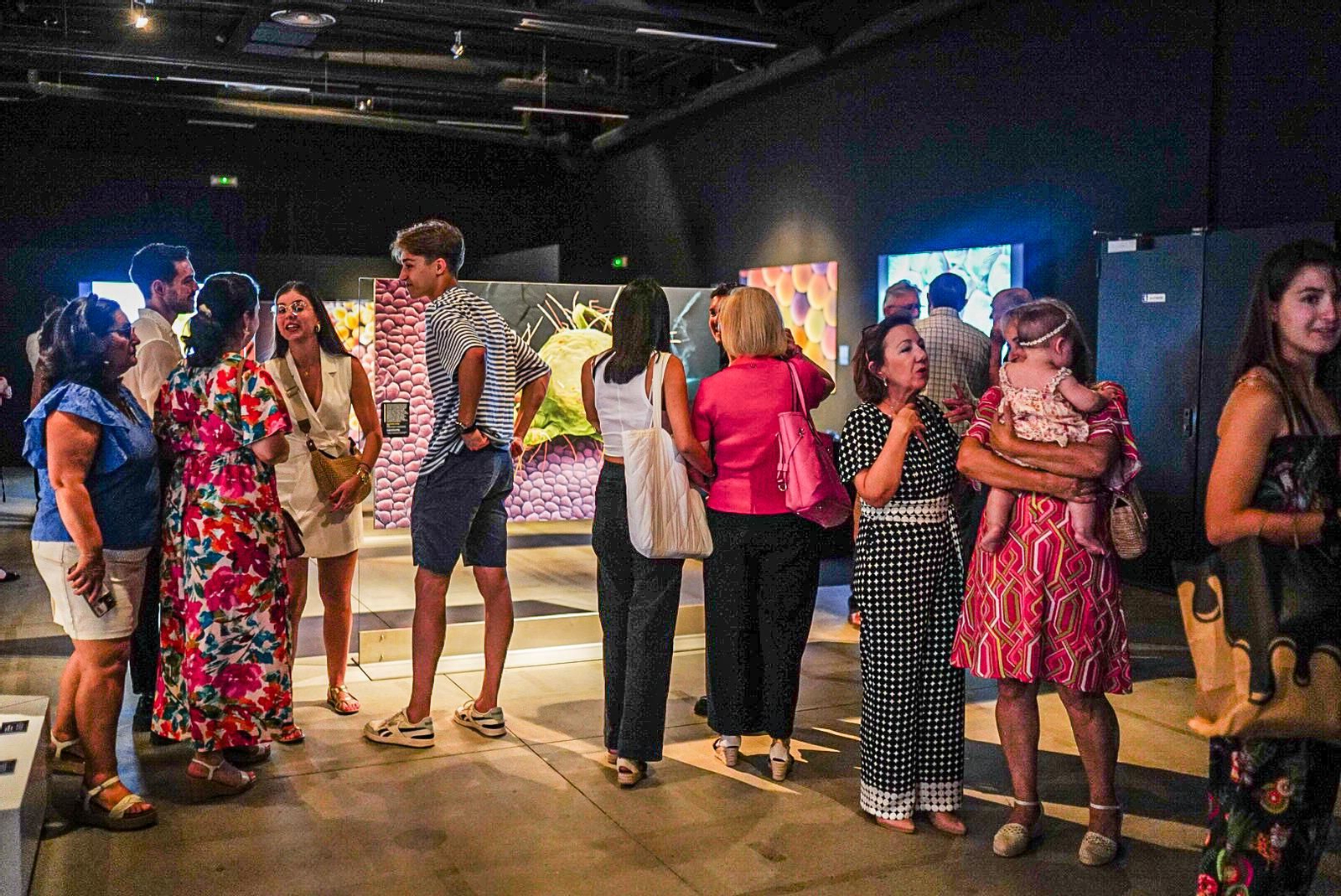 Esta es la nueva exposición del Parque de las Ciencias, las imágenes