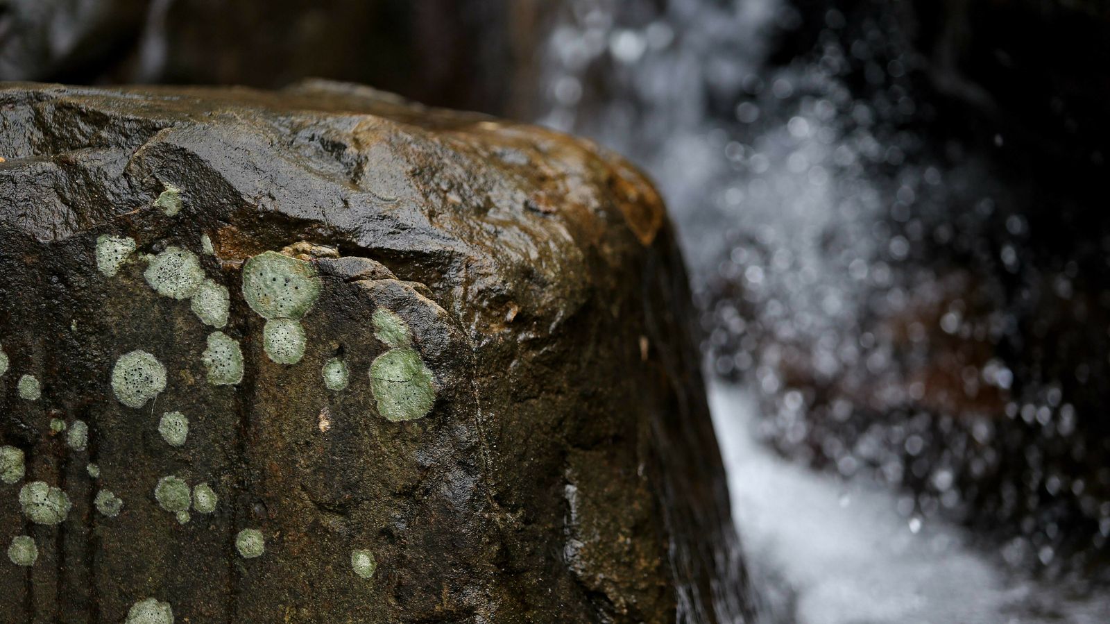 Las mejores fotos del sendero del Río de la Miel