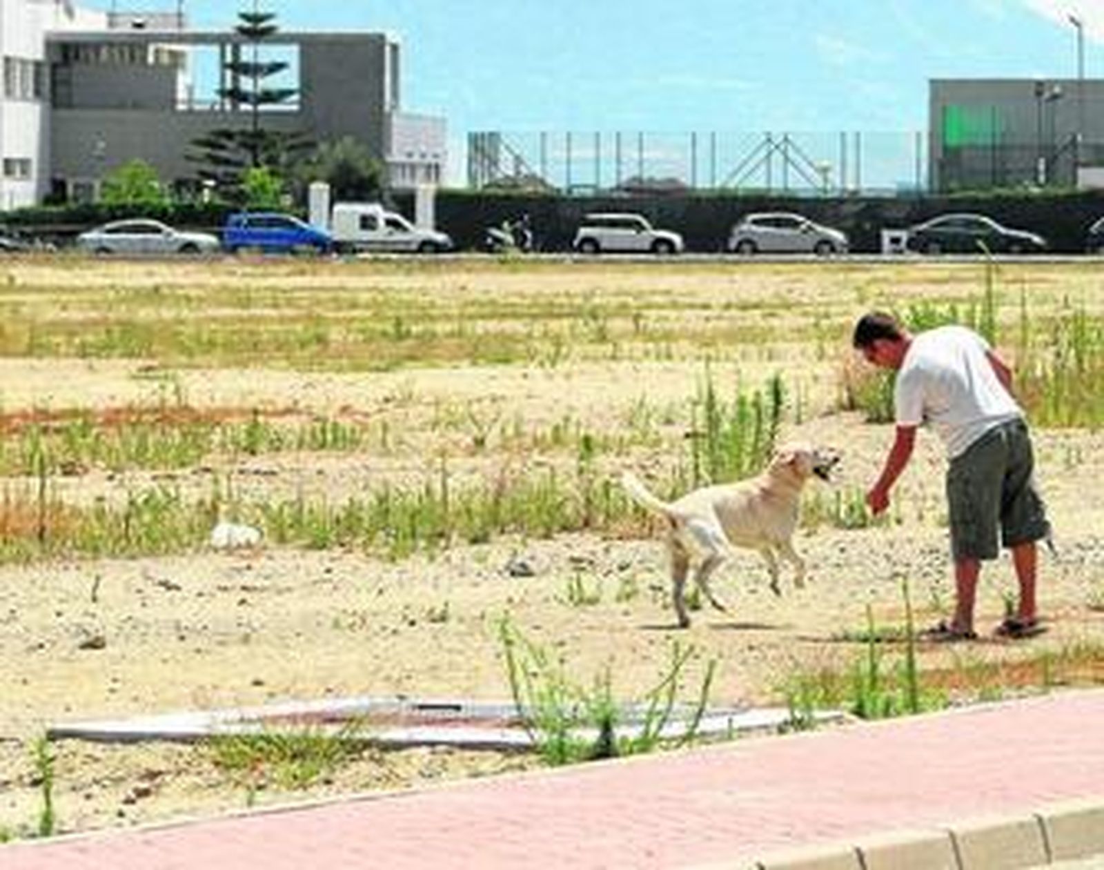 La policía de la Junta ha llevado a cabo 179 actuaciones desde el comienzo del año.