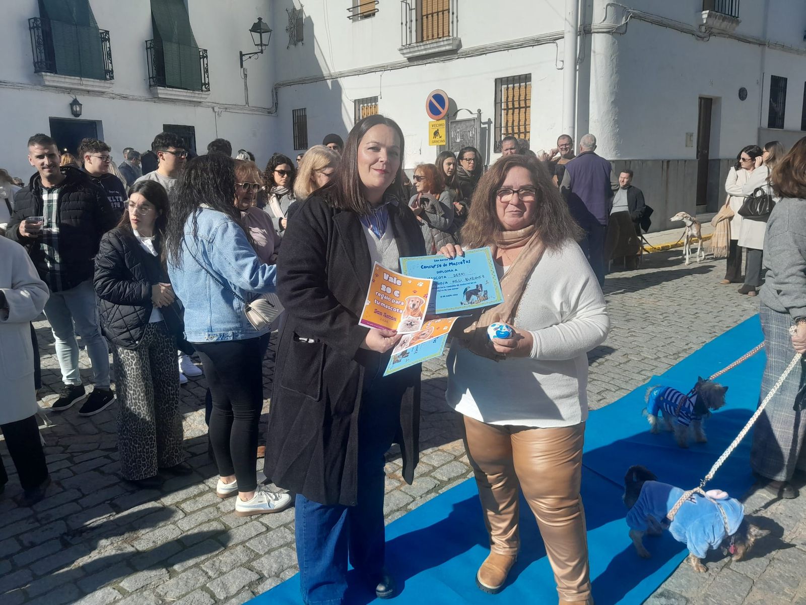 Celebración de San Antonio Abad en Obejo