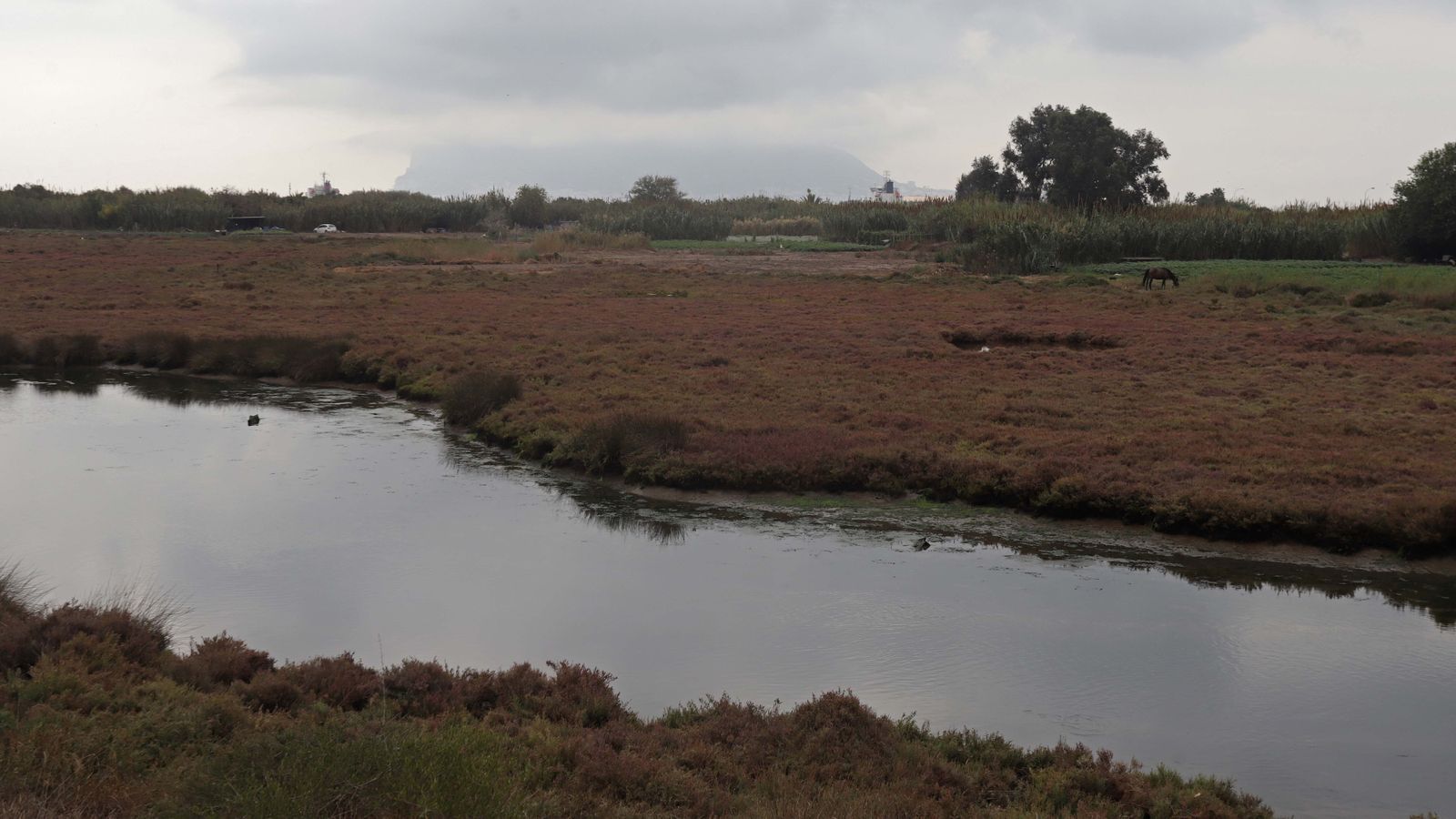 El cauce del río Palmones, junto a Algeciras.
