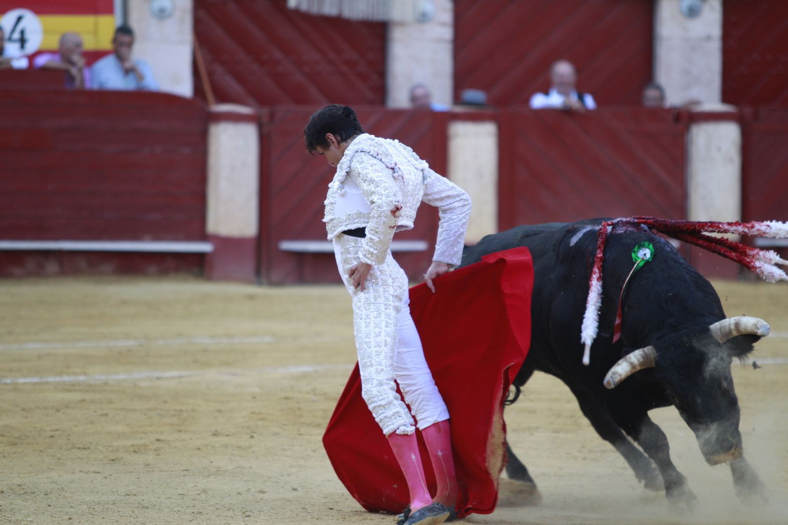 Imágenes del triunfo del torero almeriense Jorge Martínez el día de su alternativa
