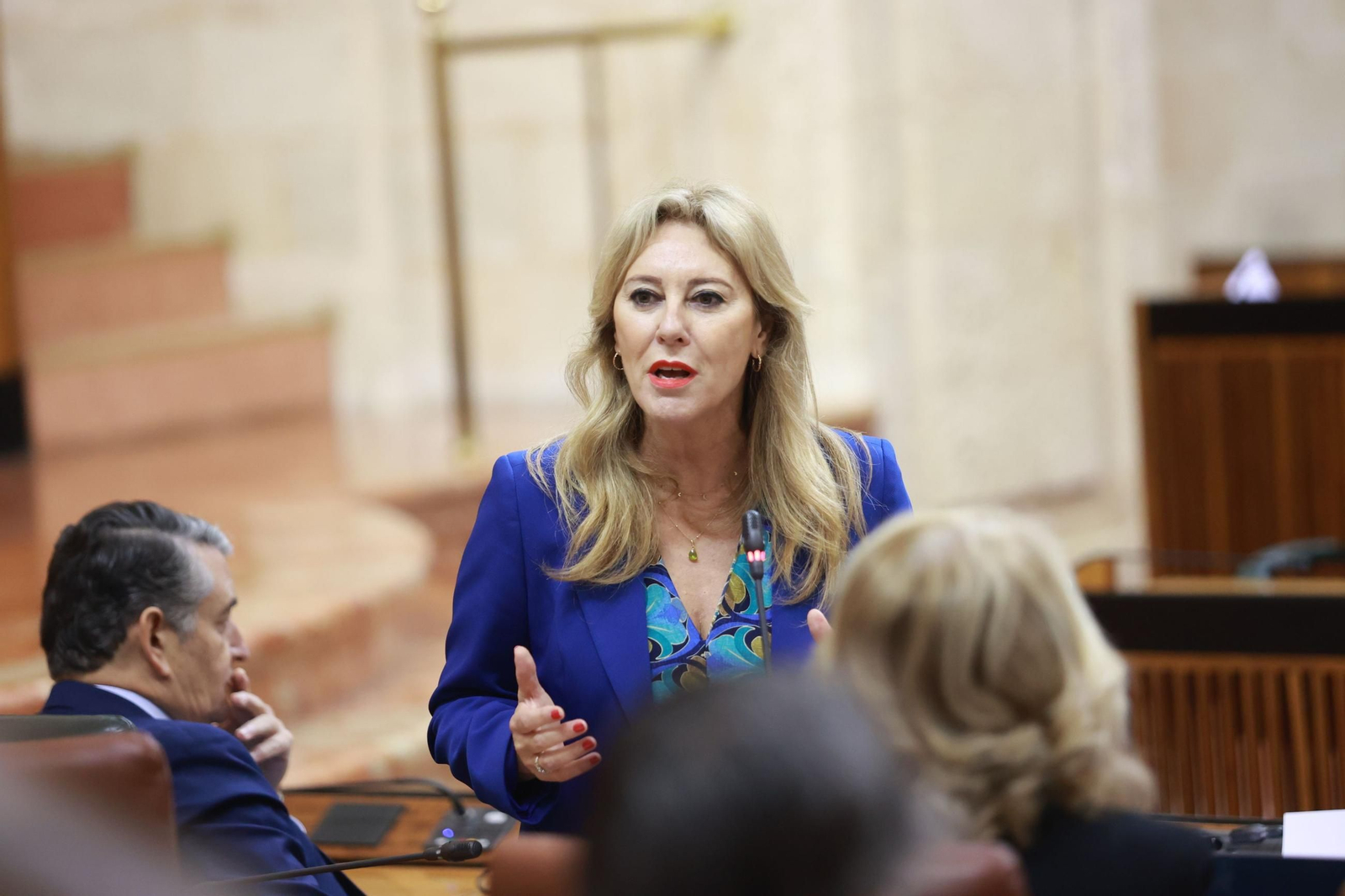 La consejera de Economía y Hacienda, Carolina España, en el Parlamento. La consejera de Economía y Hacienda, Carolina España, en el Parlamento.