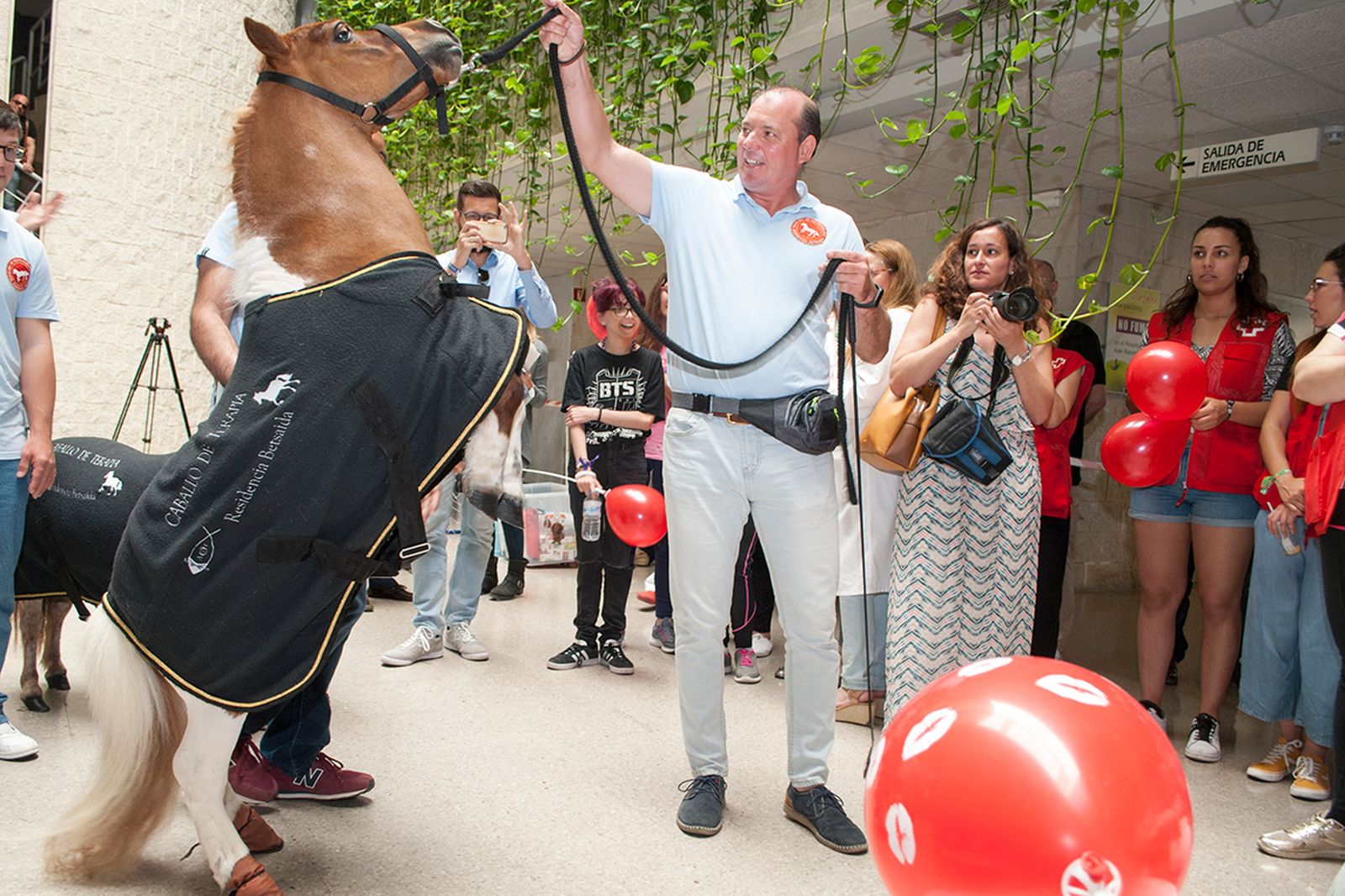 El caballo Enrique fue el gran protagonista de la jornada en el Juan Ramón Jiménez.