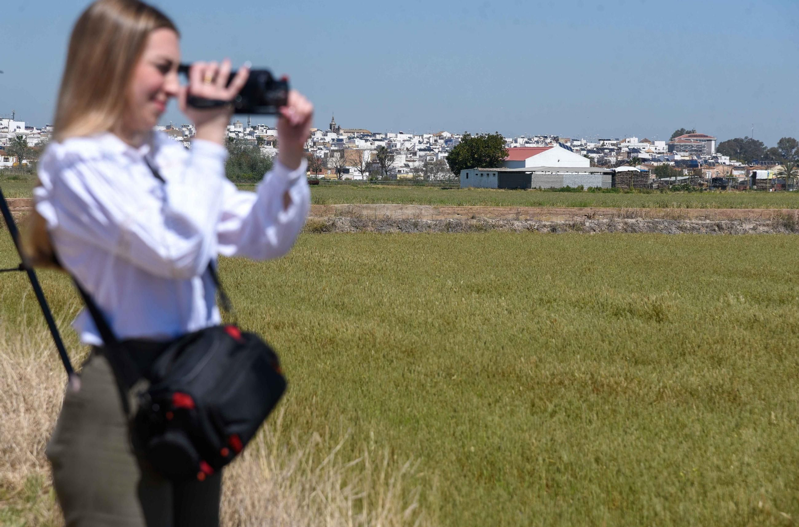 Control de larvas por el Virus del Nilo en la marisma de La Puebla del Río