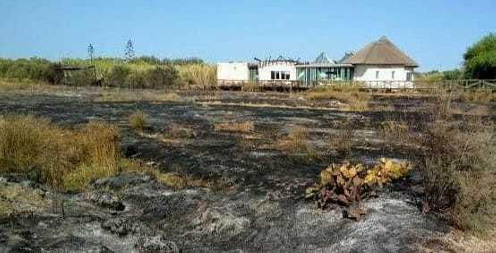 El Centro de Interpretación de la Naturaleza y el Litoral El Camaleón, en Chipiona, se vio muy afectado por el incendio ocurrido el pasado día 5. El Centro de Interpretación de la Naturaleza y el Litoral El Camaleón, en Chipiona, se vio muy afectado por el incendio ocurrido el pasado día 5.