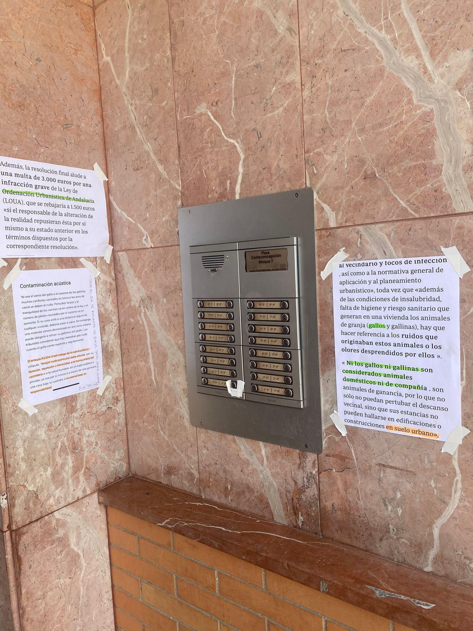 Los vecinos han intentado ponerse en contacto con el dueño de los gallos sin éxito