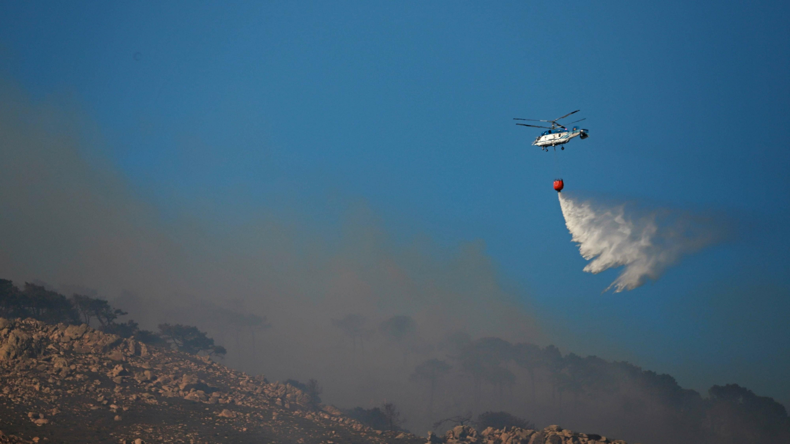 Fotos del incendio forestal en Tarifa