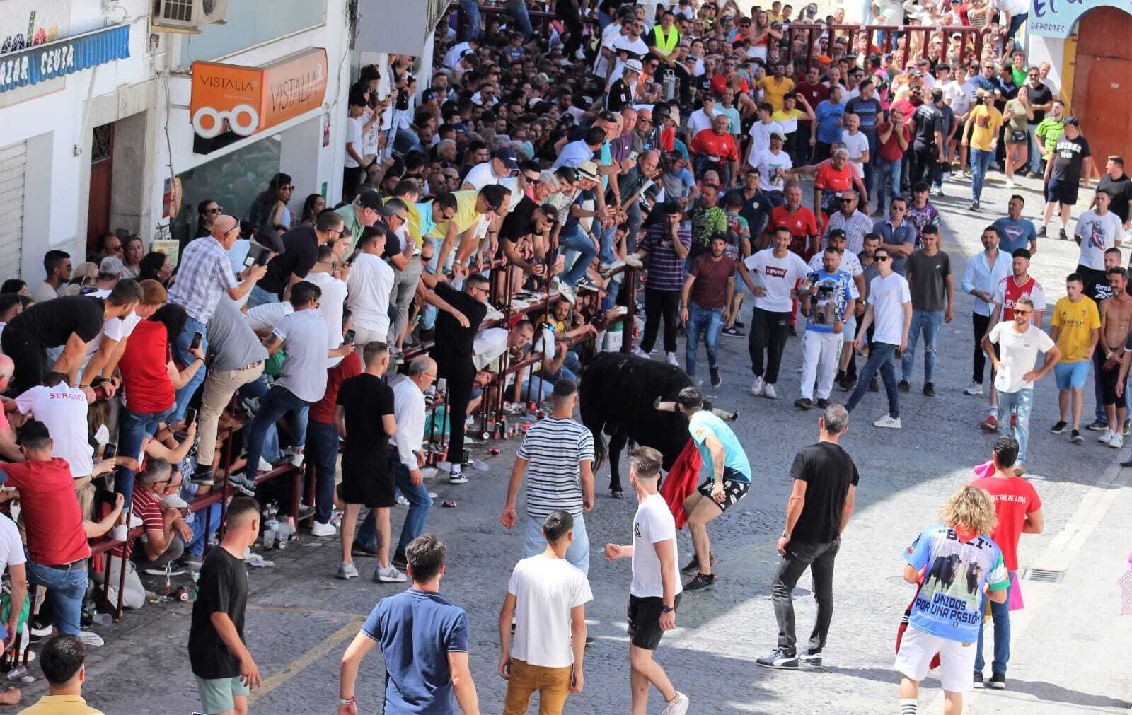 Las imágenes de la celebración del Toro del Aleluya en Arcos 2024