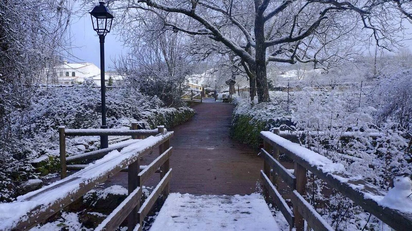 Tres años de Filomena: Así de bonita y nevada quedó la Sierra de Aracena