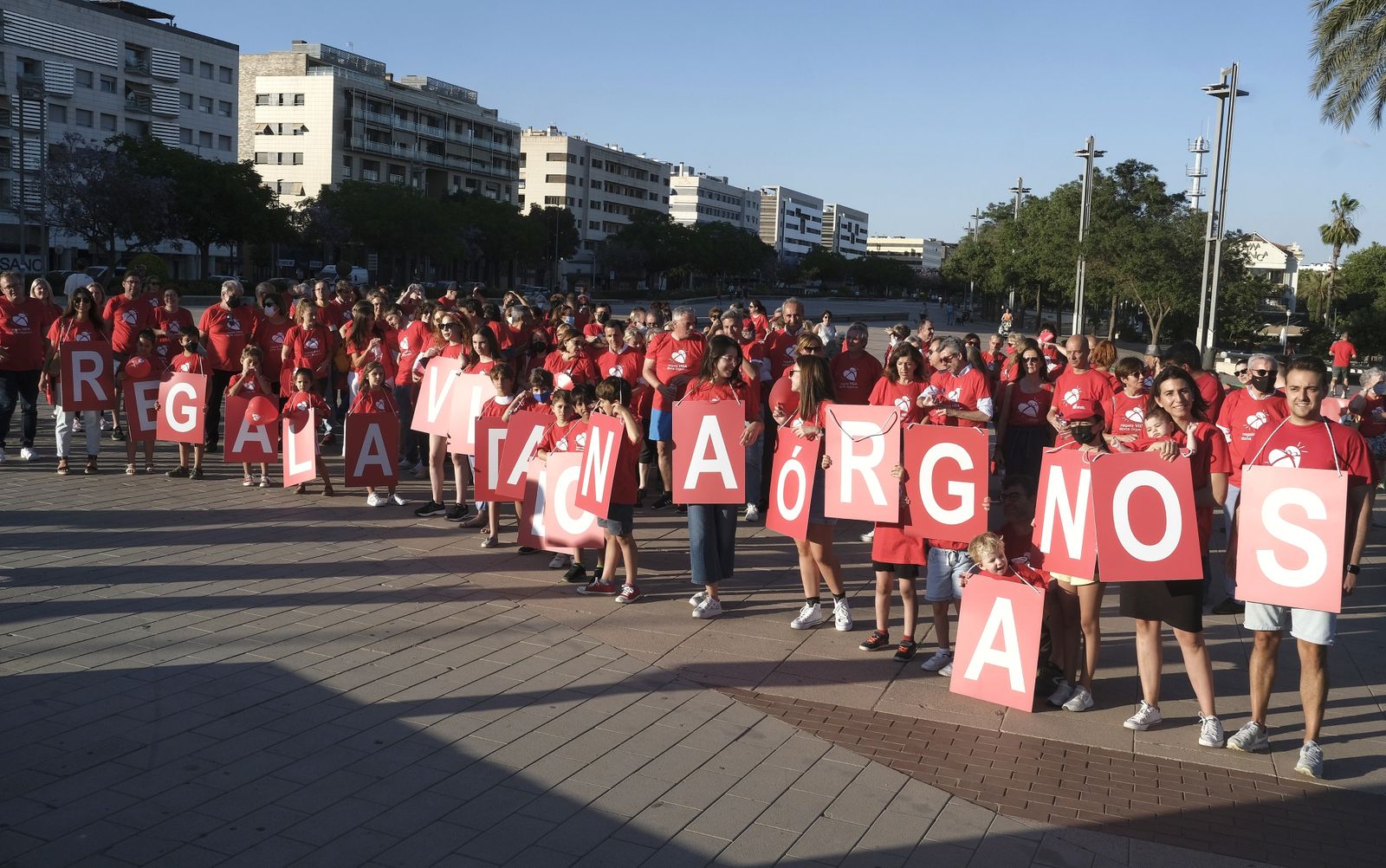 La Marcha por la Donación de Órganos de Córdoba, en imágenes