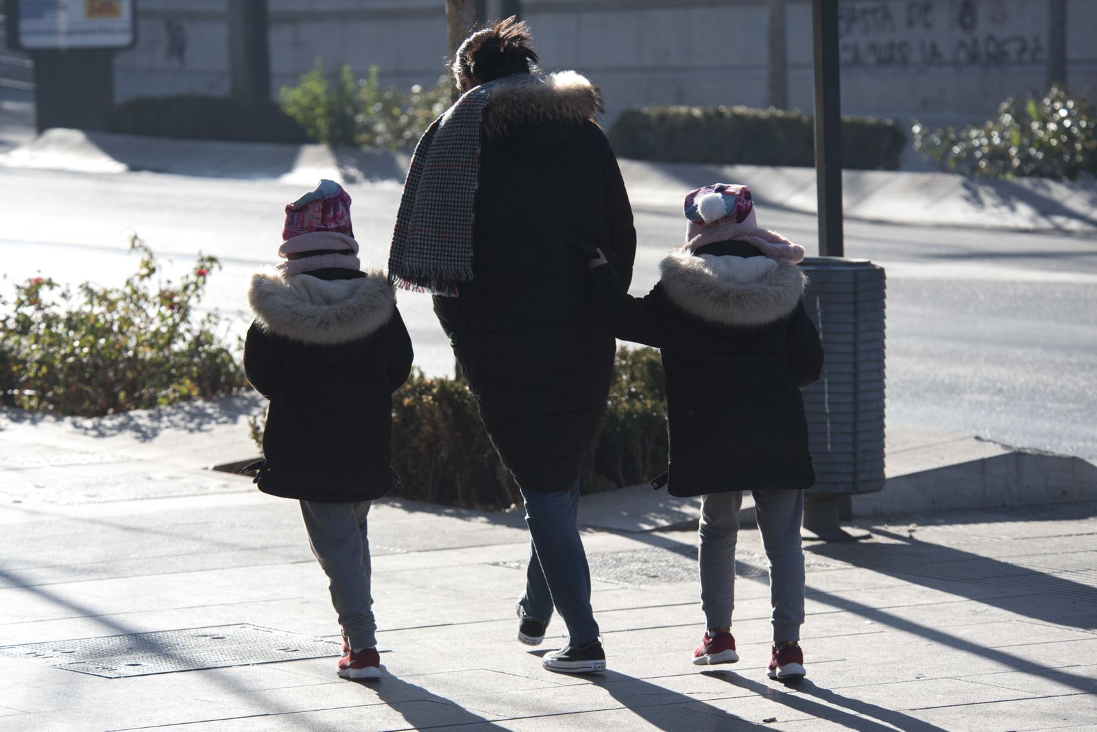 Las imágenes del duro invierno en Granada