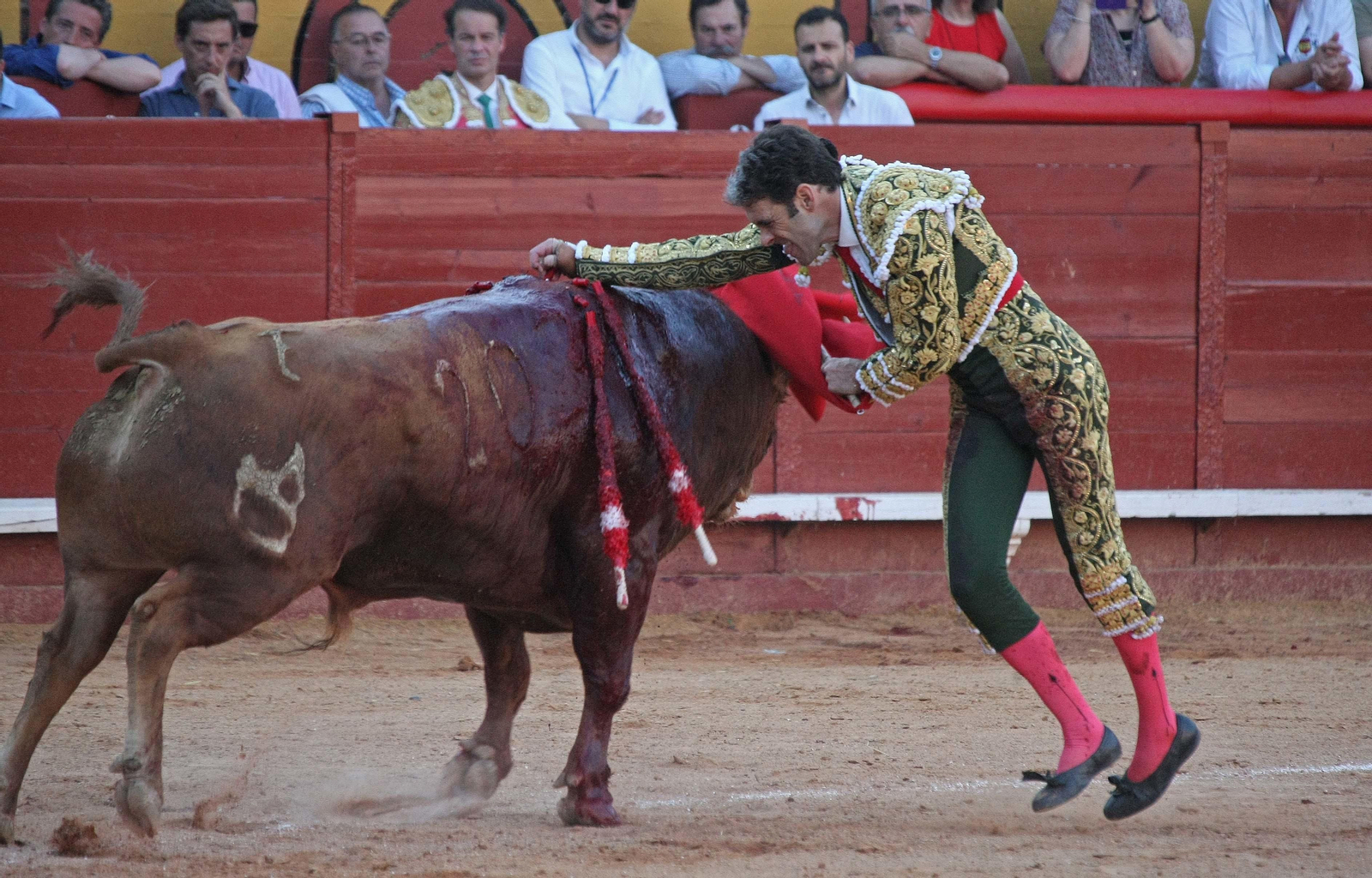 José Tomás, en Algeciras