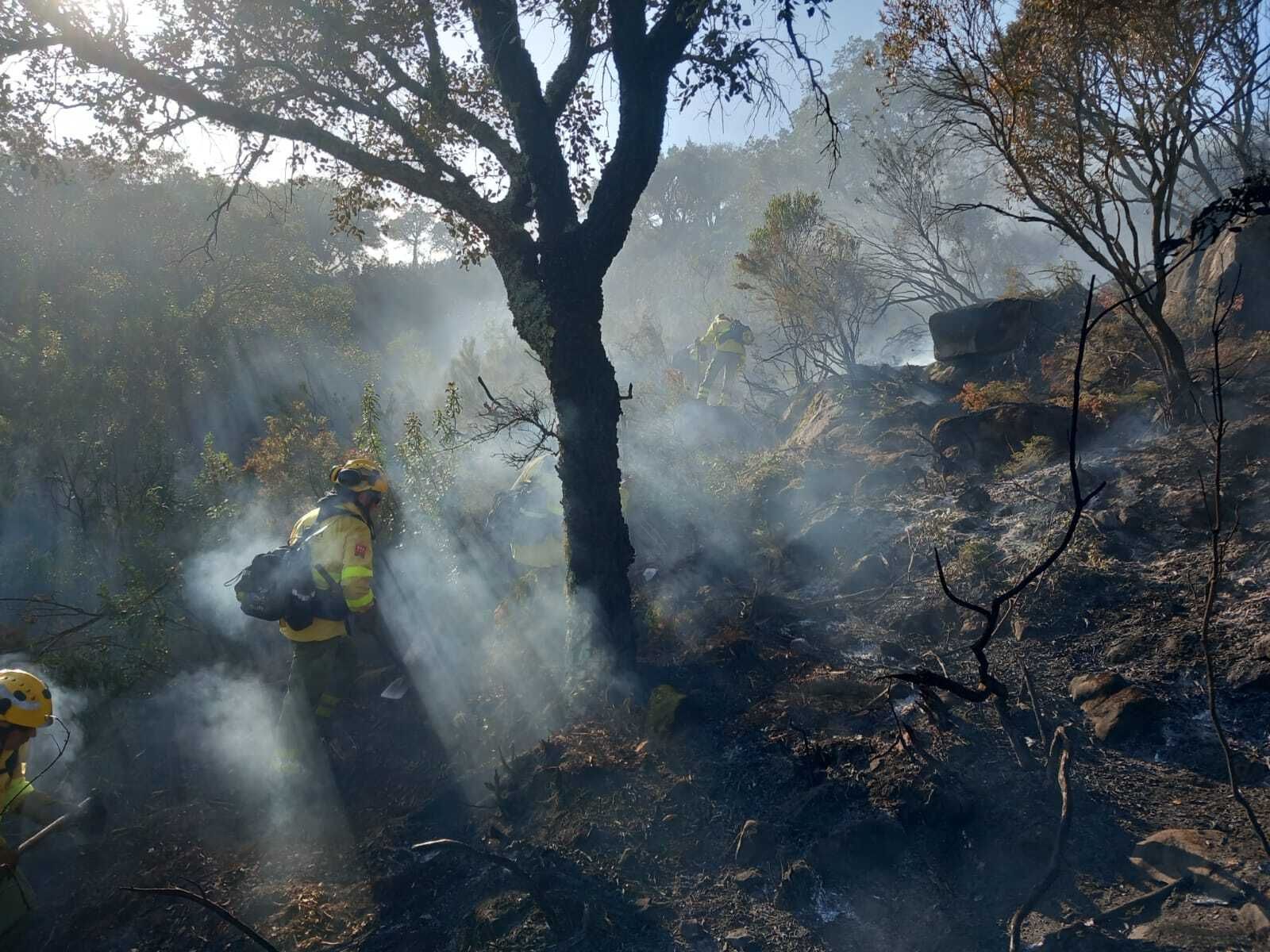Efectivos del Infoca en el paraje El Olivillo.