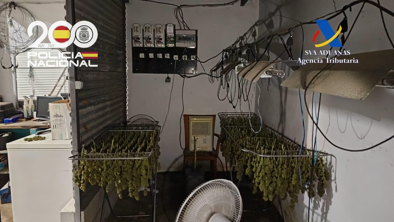 Detenidos 20 miembros de un clan familiar dedicado al tráfico de marihuana en Las Cabezas de San Juan