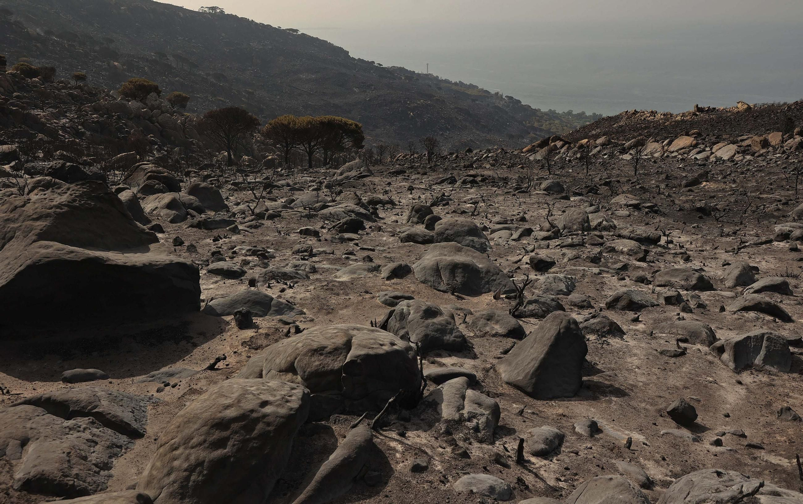 Fotos de los efectos del incendio en el monte de La Peña en Tarifa