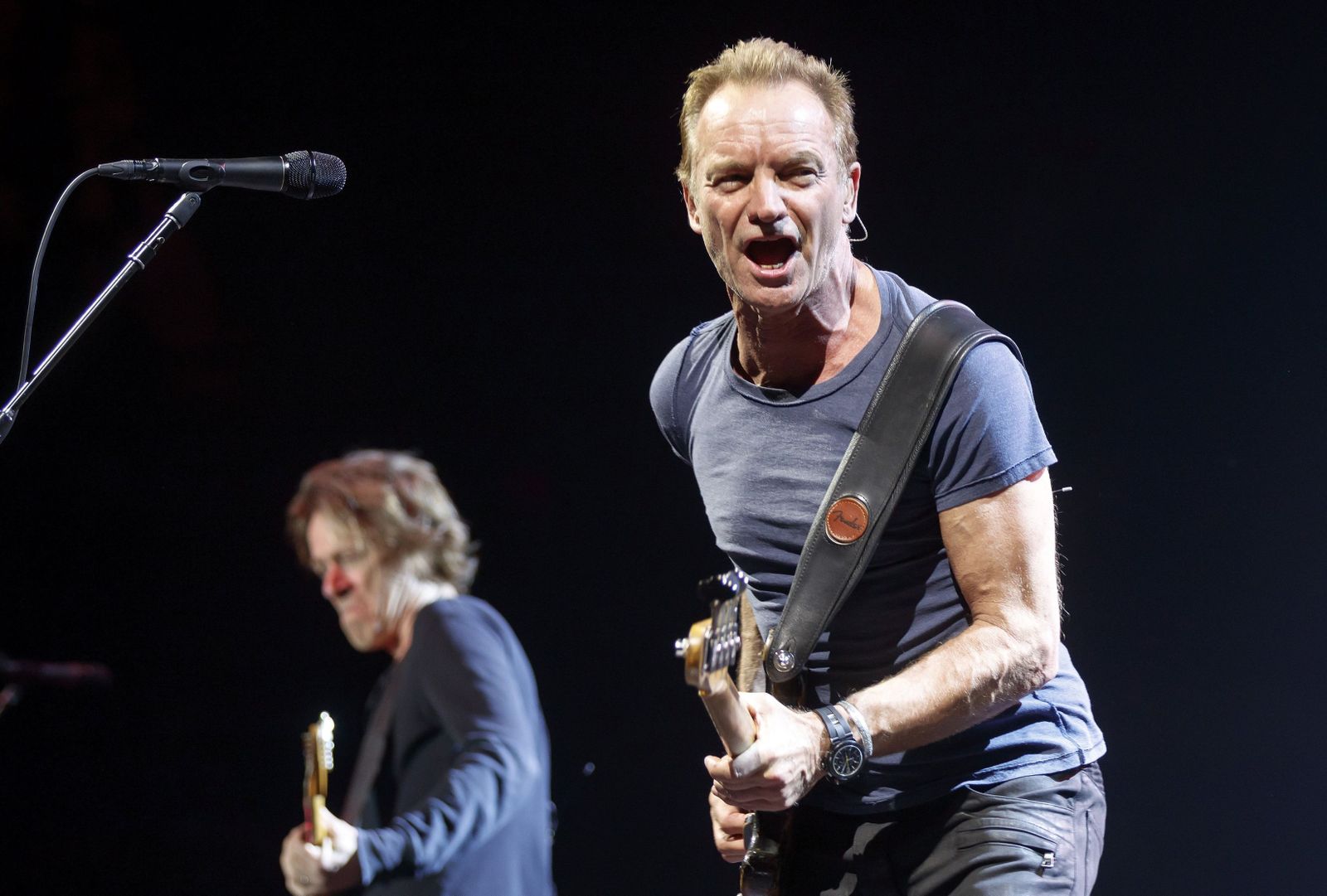 Sting en uno de sus directos