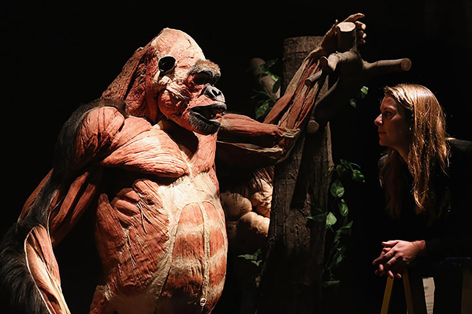 Esta exposición ya ha sido visitada por más de 40 millones de personas en el mundo.