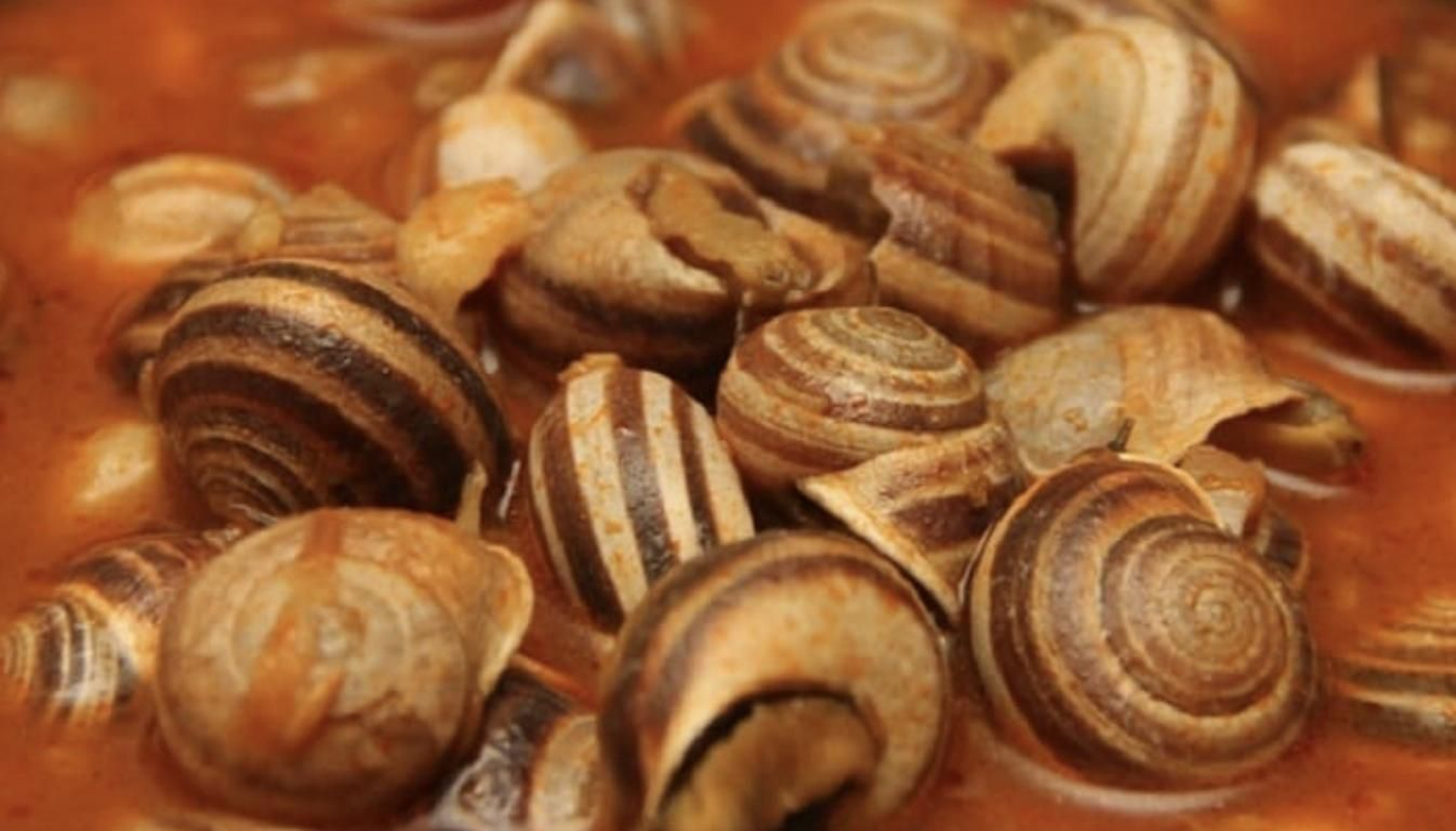 Cabrillas del Bar Bolonia, en Los Remedios