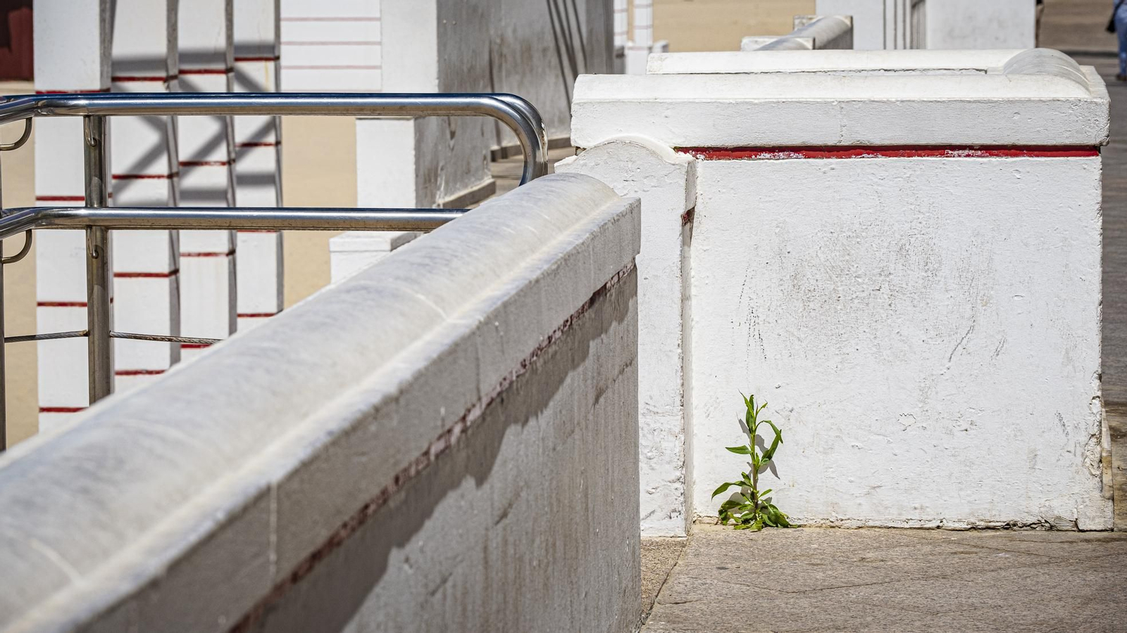 Paseo Marítimo de Cádiz