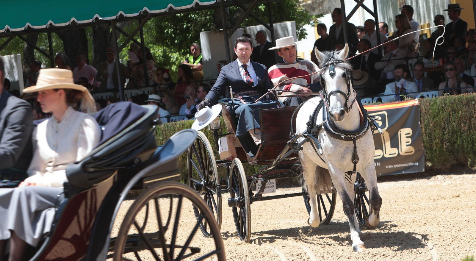 Entrega del Caballo de Oro Jerez 2024 a Francisco Dorante
