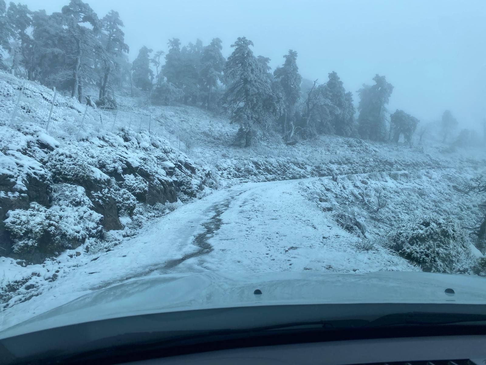 El Parque Nacional Sierra de las Nieves se viste de blanco, en imágenes