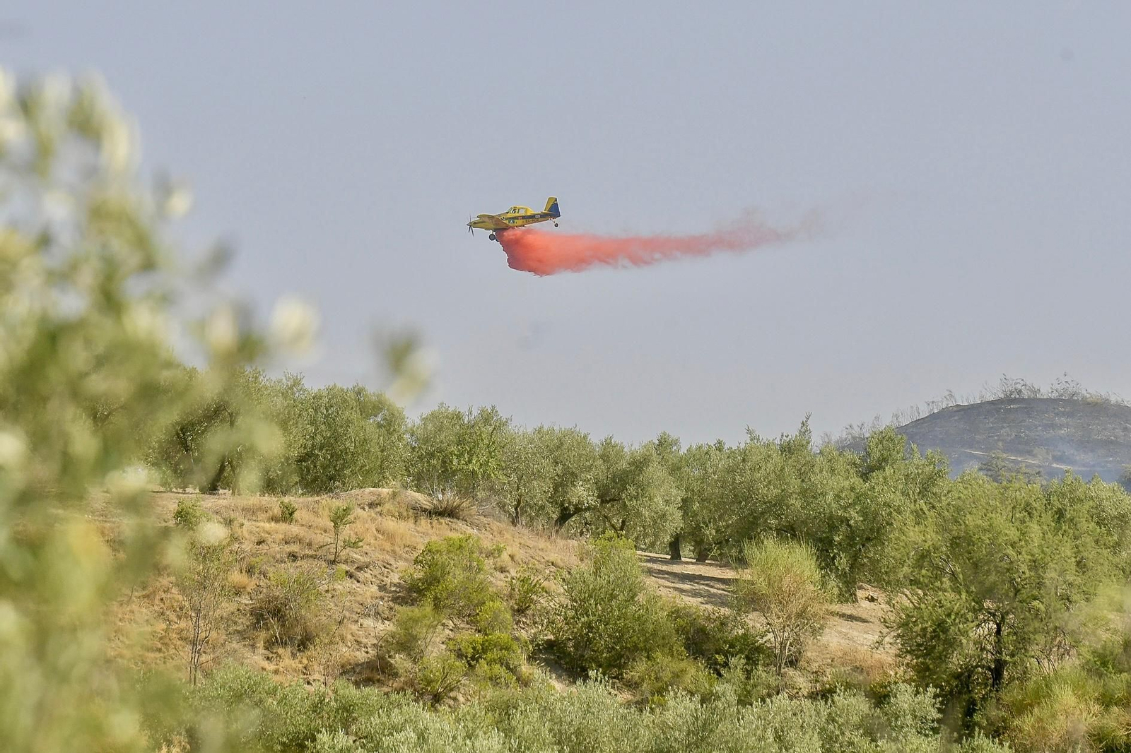 Las mejores imágenes del despliegue del Infoca en un incendio forestal en Jun