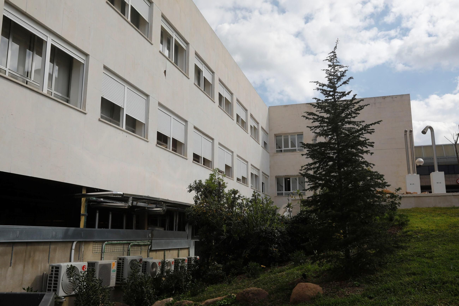 Las zonas verdes repobladas del Hospital Reina Sofía de Córdoba, en imágenes