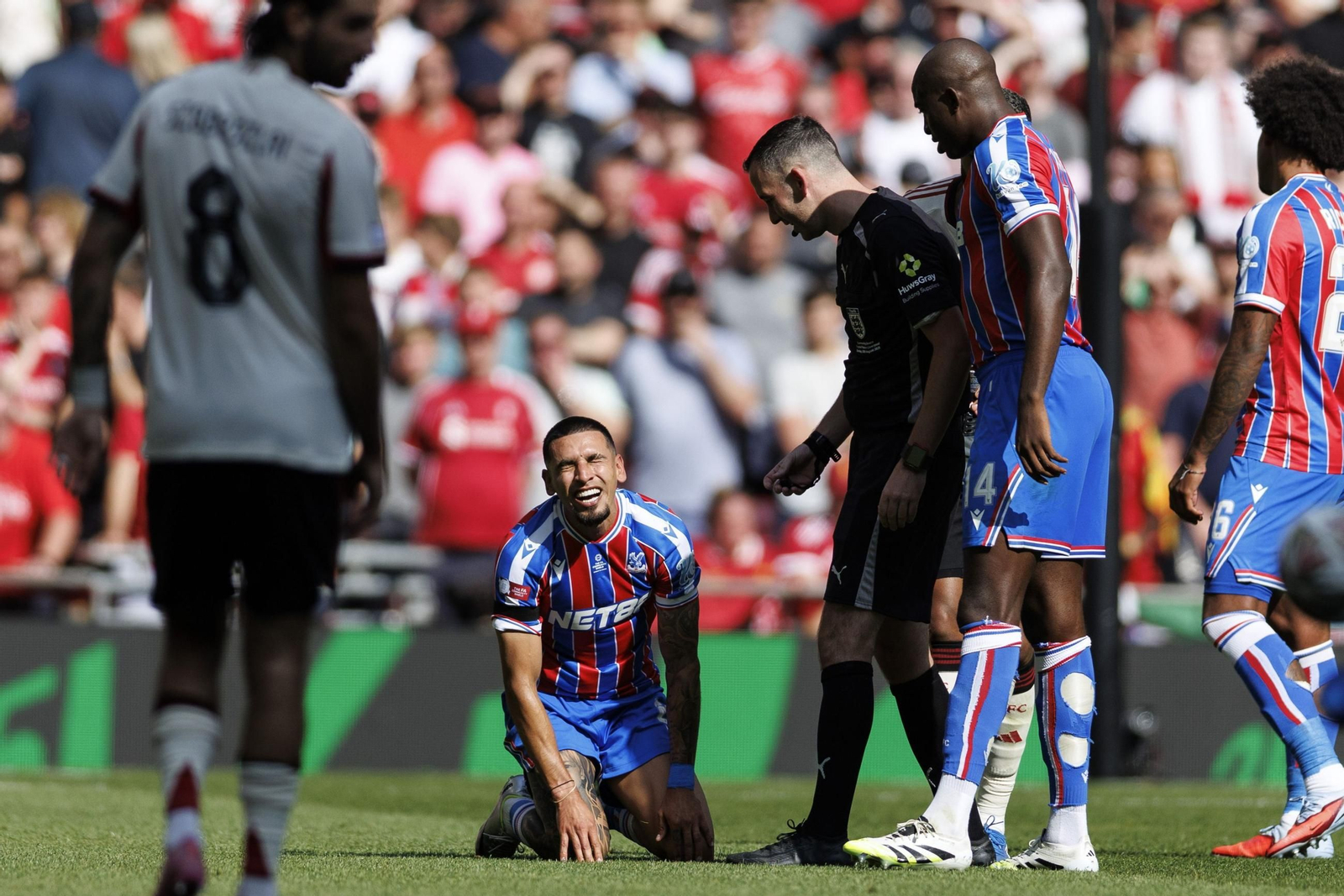 El título del Crystal Palace sobre el Liverpool, en imágenes (2-1)