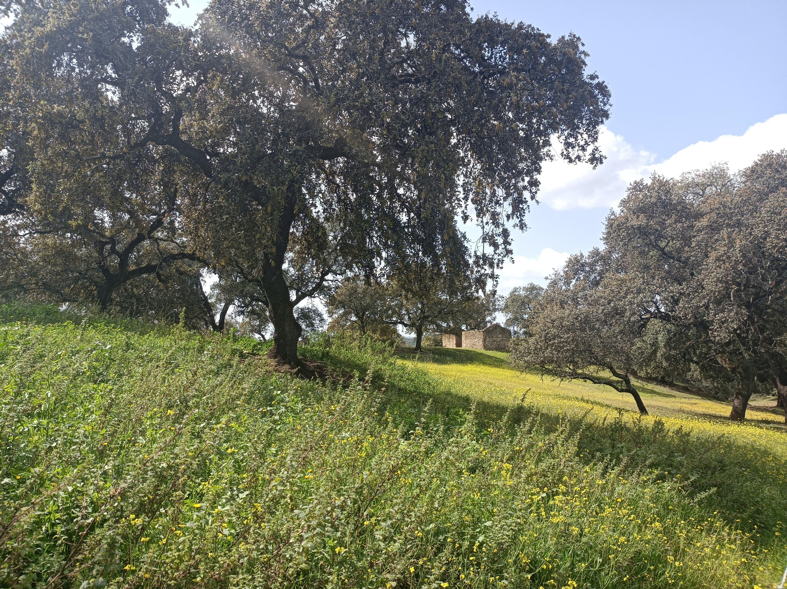 Fotos de la georruta de La Lobera