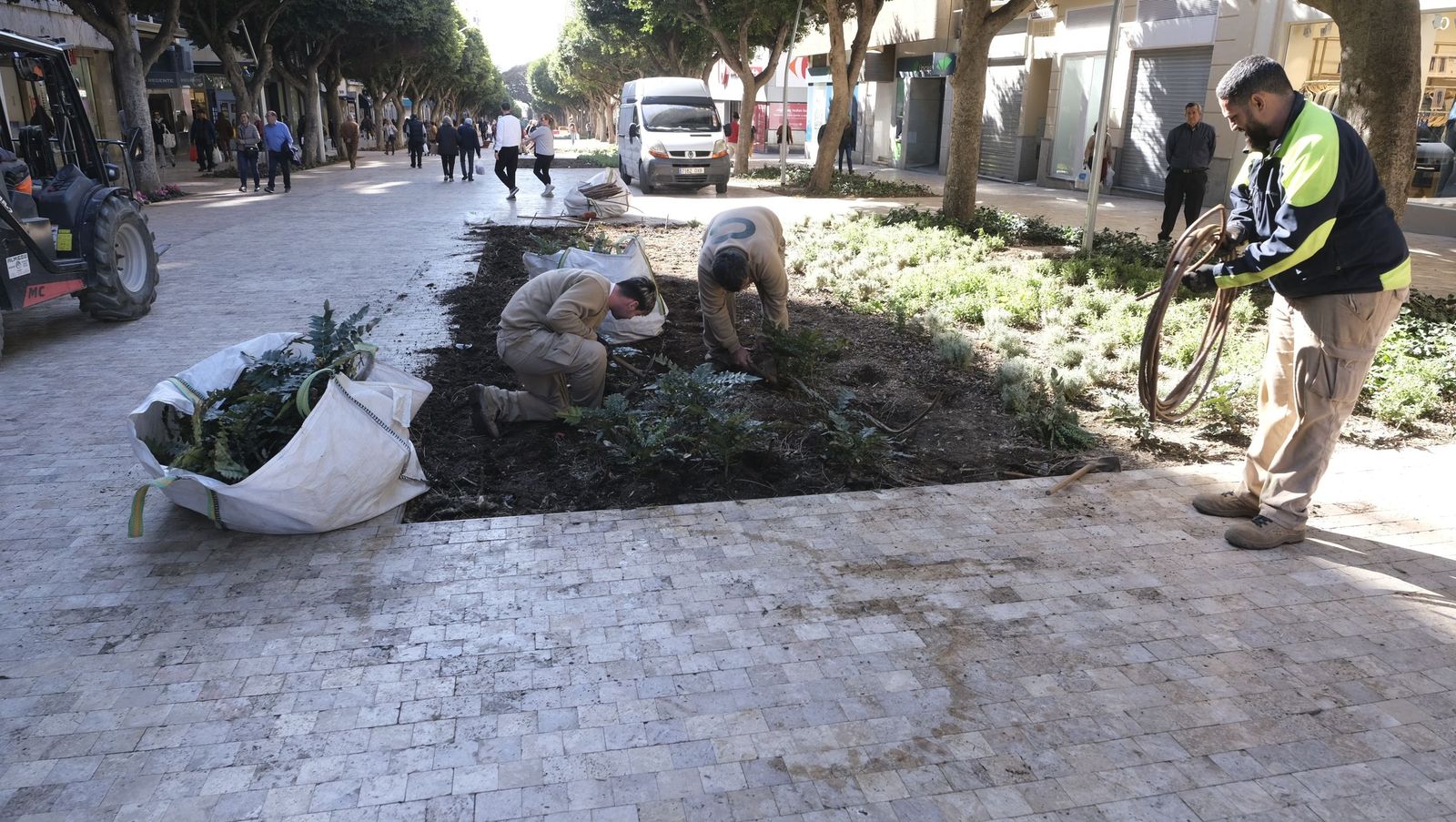 Las imágenes de la modificación de los parterres del Paseo de Almería