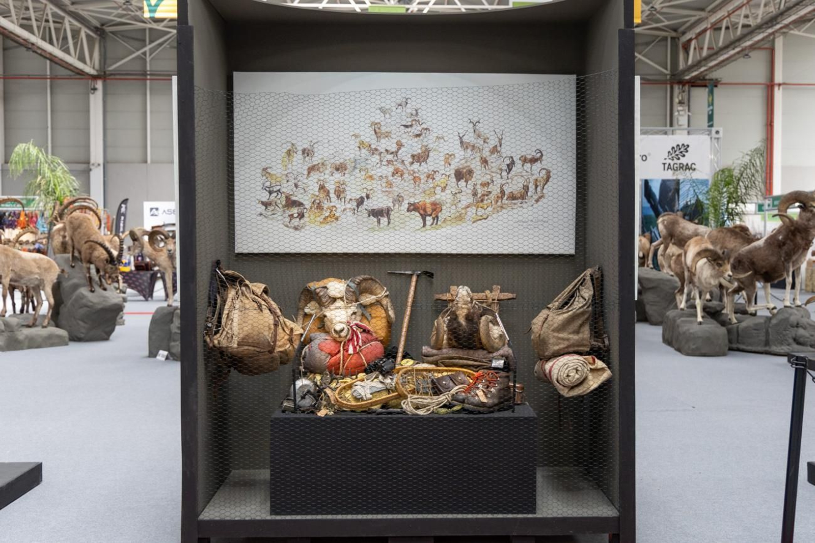 XVII Feria de Caza y Pesca de la Provincia de Jaén, Ibercaza