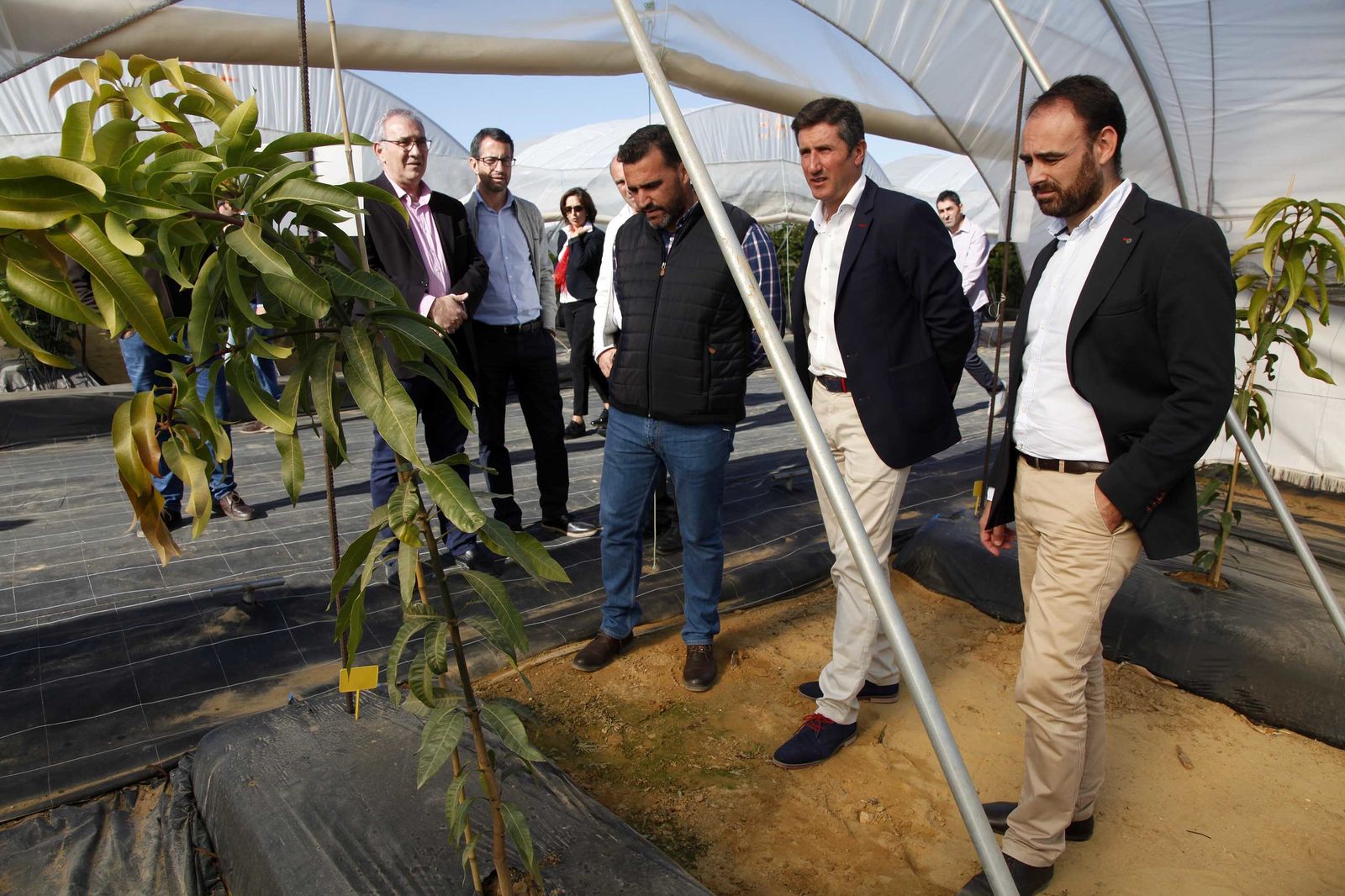 Inauguración de la finca experimental de  Onubafruit