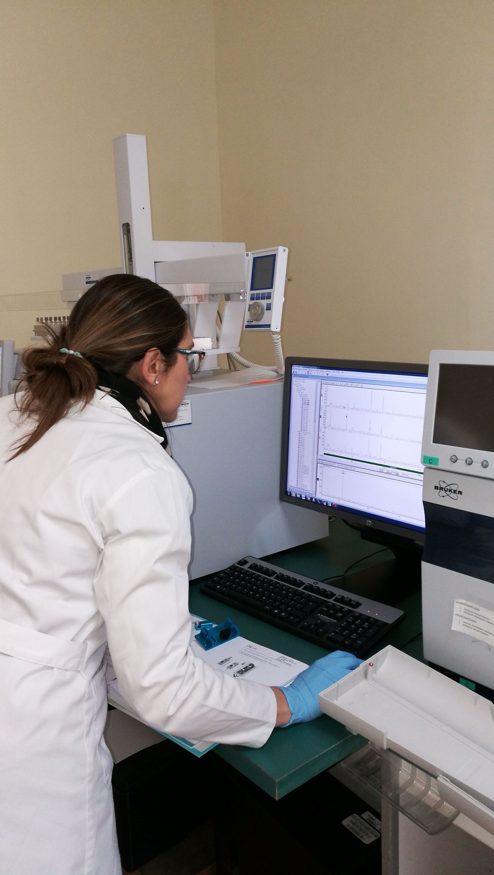 El Ifapa describe el potencial saludable del aroma del aceite de oliva en la digestión