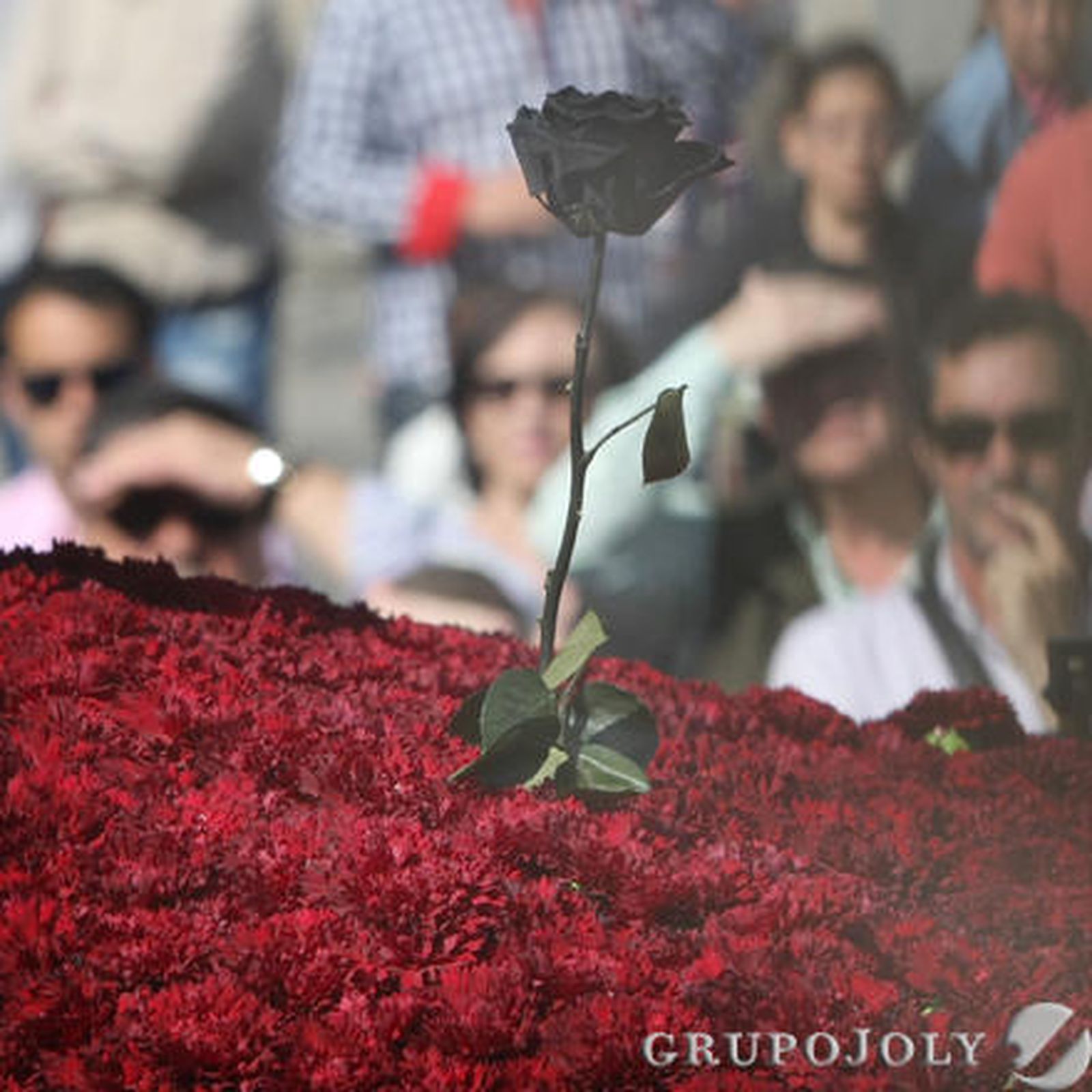 Buena Muerte de San Roque

Foto: Erasmo Fenoy · Paco Guerrero
