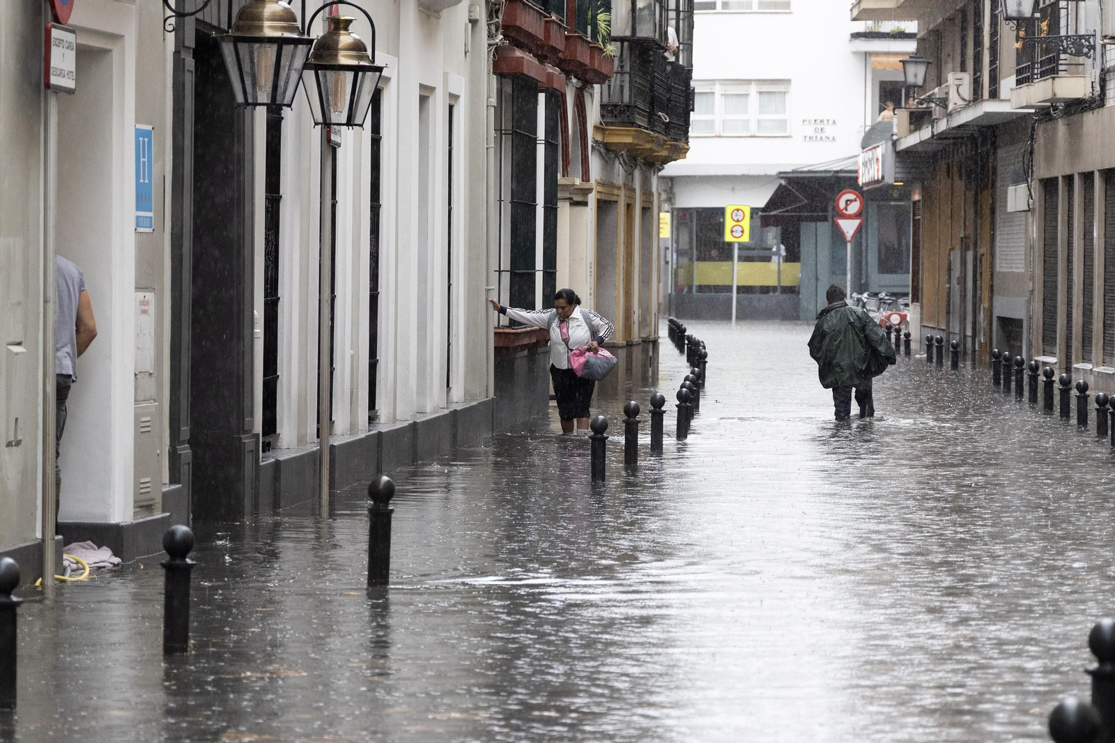 El centro de Sevilla anegado, todas las fotos.