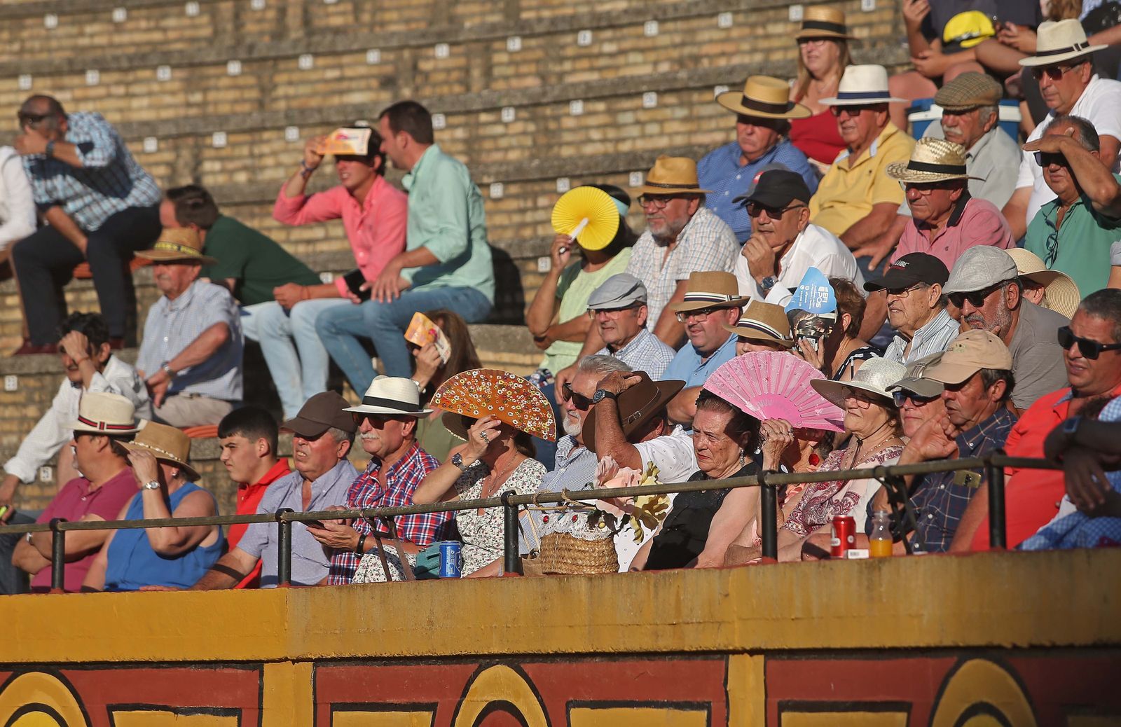 Búscate en la novillada de Miguelín que abre la Feria Real de de Algeciras 2023